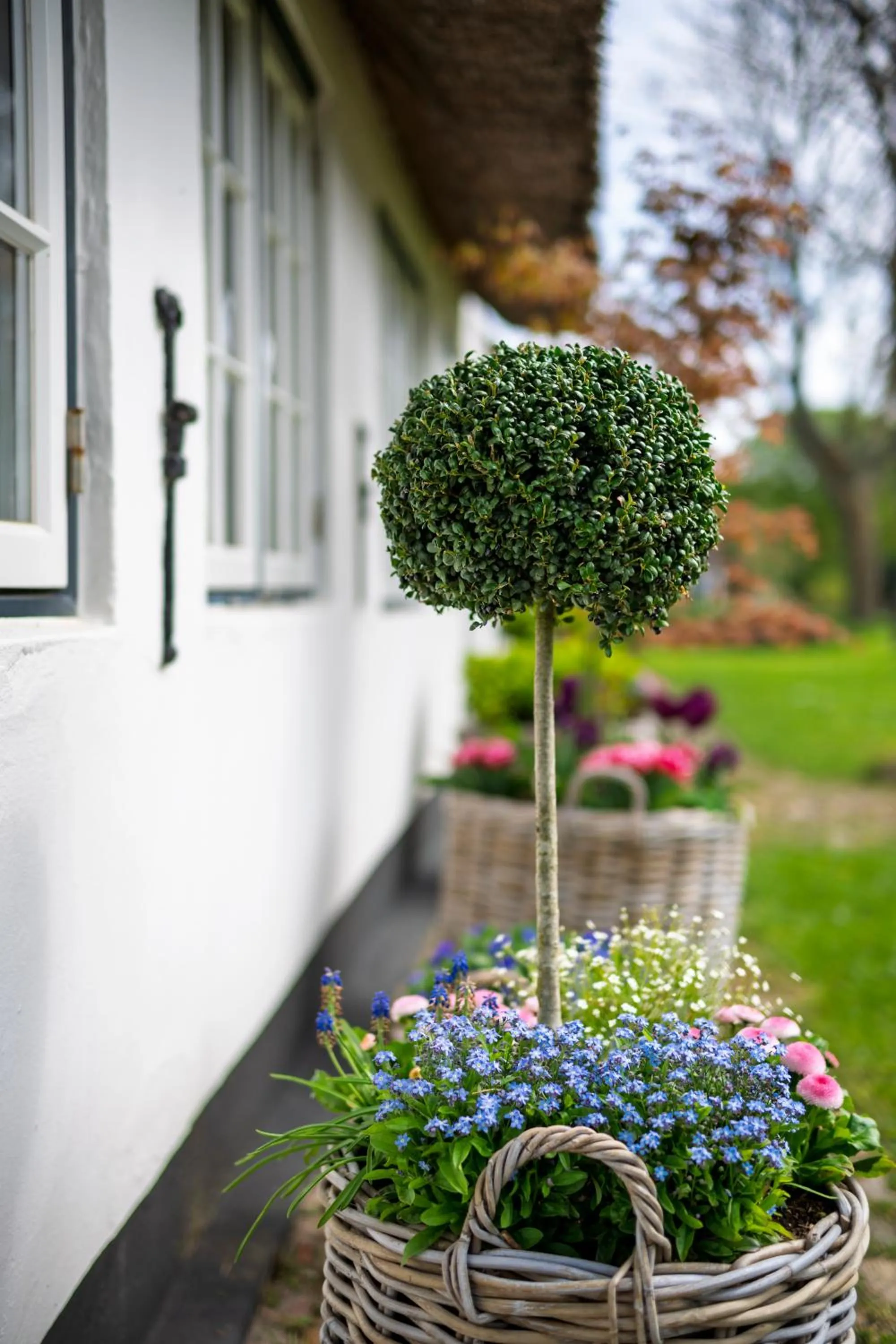 Garden view in Boutiquehotel Seiler Hof Keitum