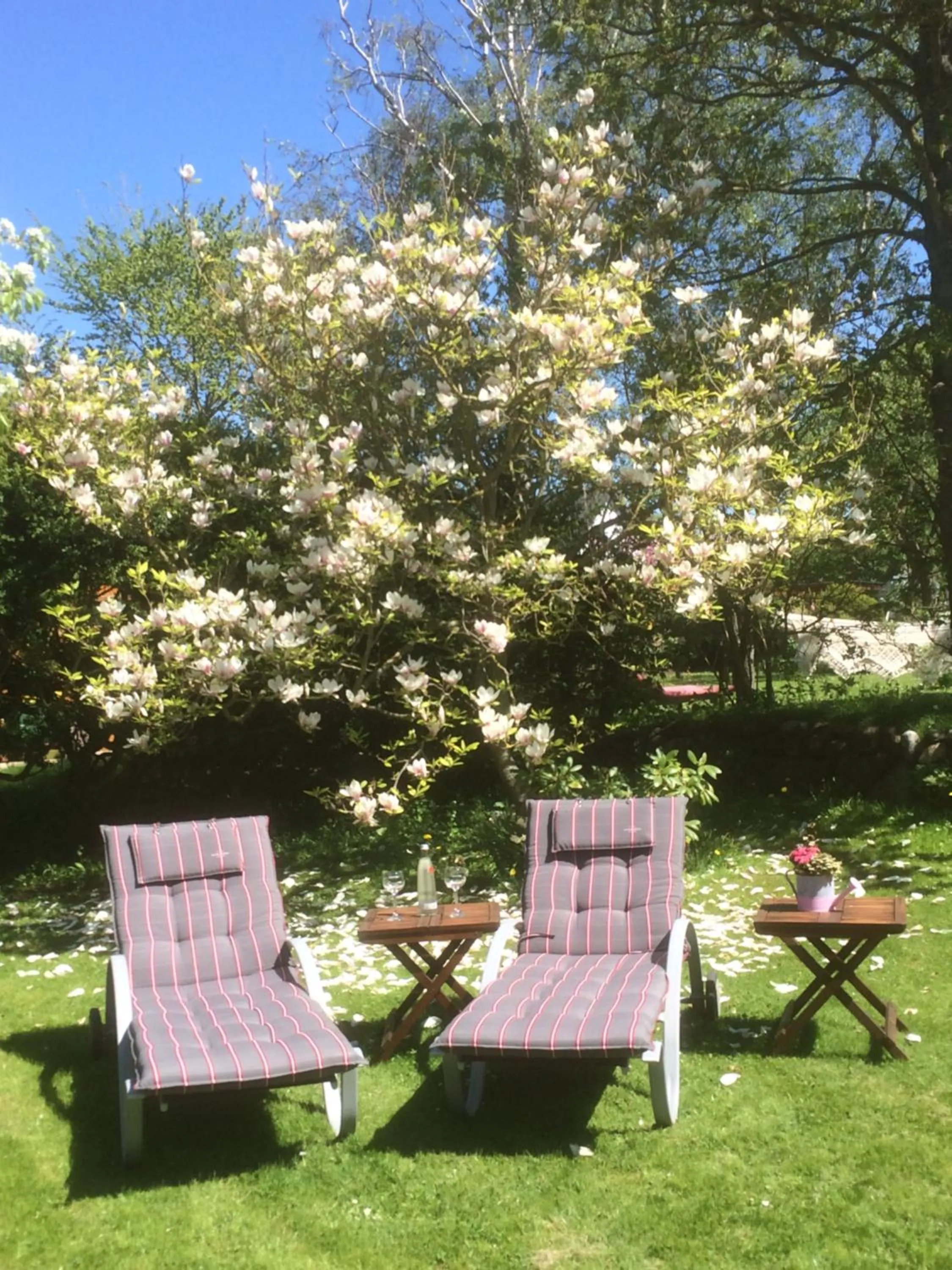 Balcony/Terrace in Boutiquehotel Seiler Hof Keitum