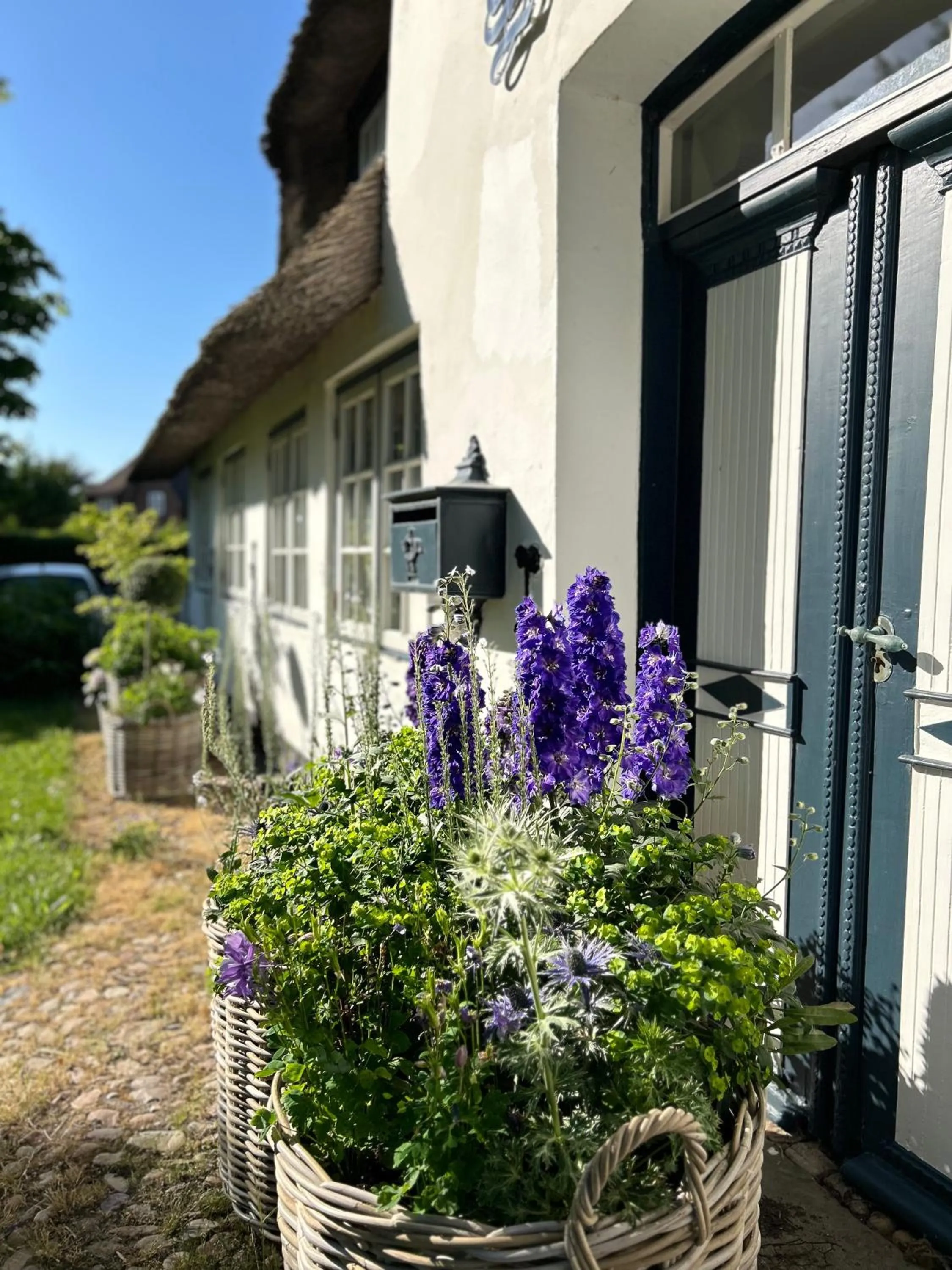 Garden in Boutiquehotel Seiler Hof Keitum