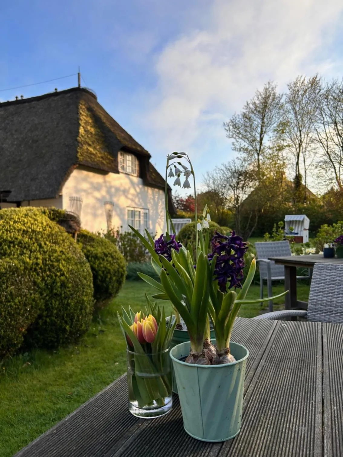 Garden in Boutiquehotel Seiler Hof Keitum