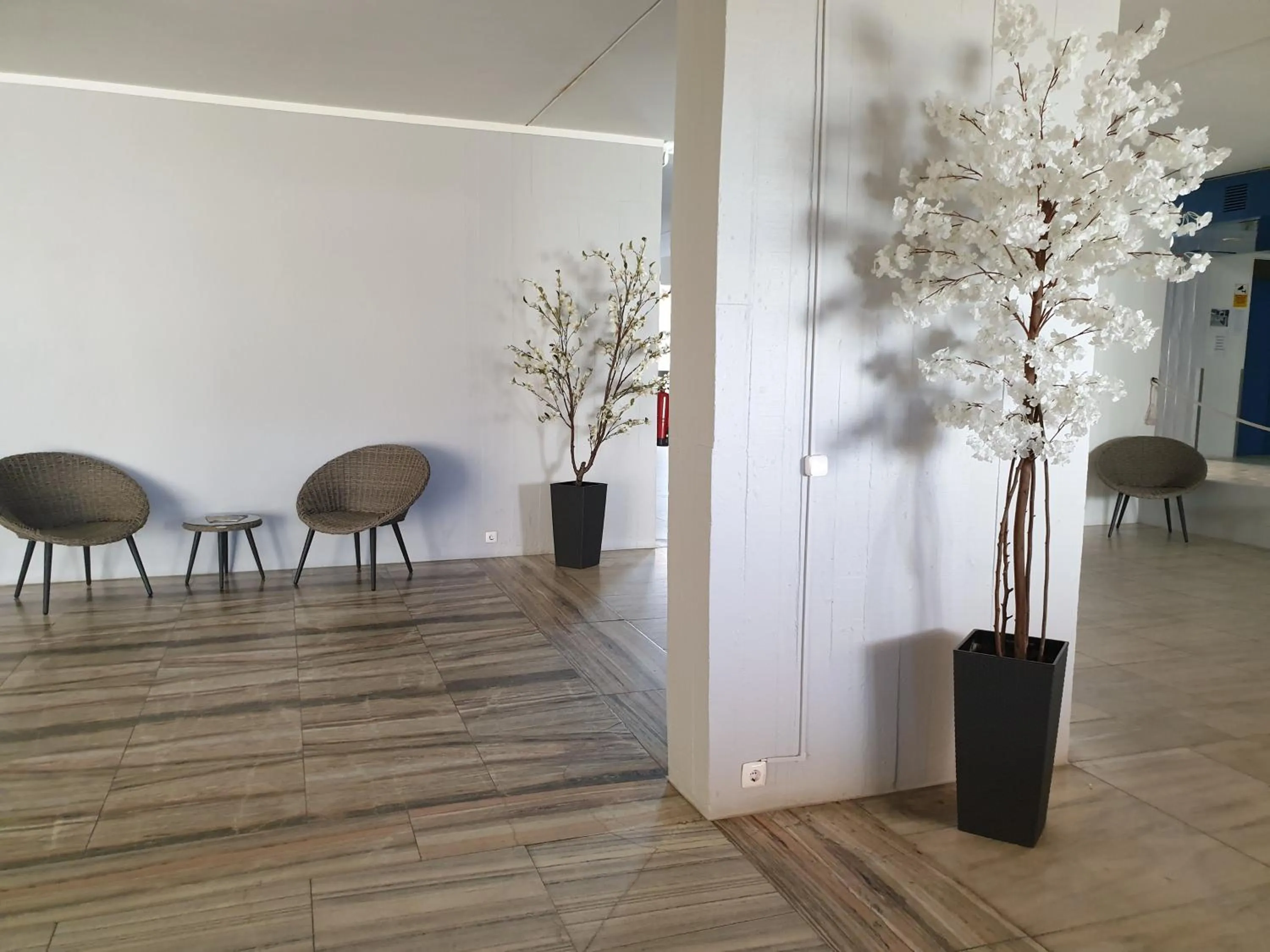 Lobby or reception in Tarik by Atlantichotels - AL