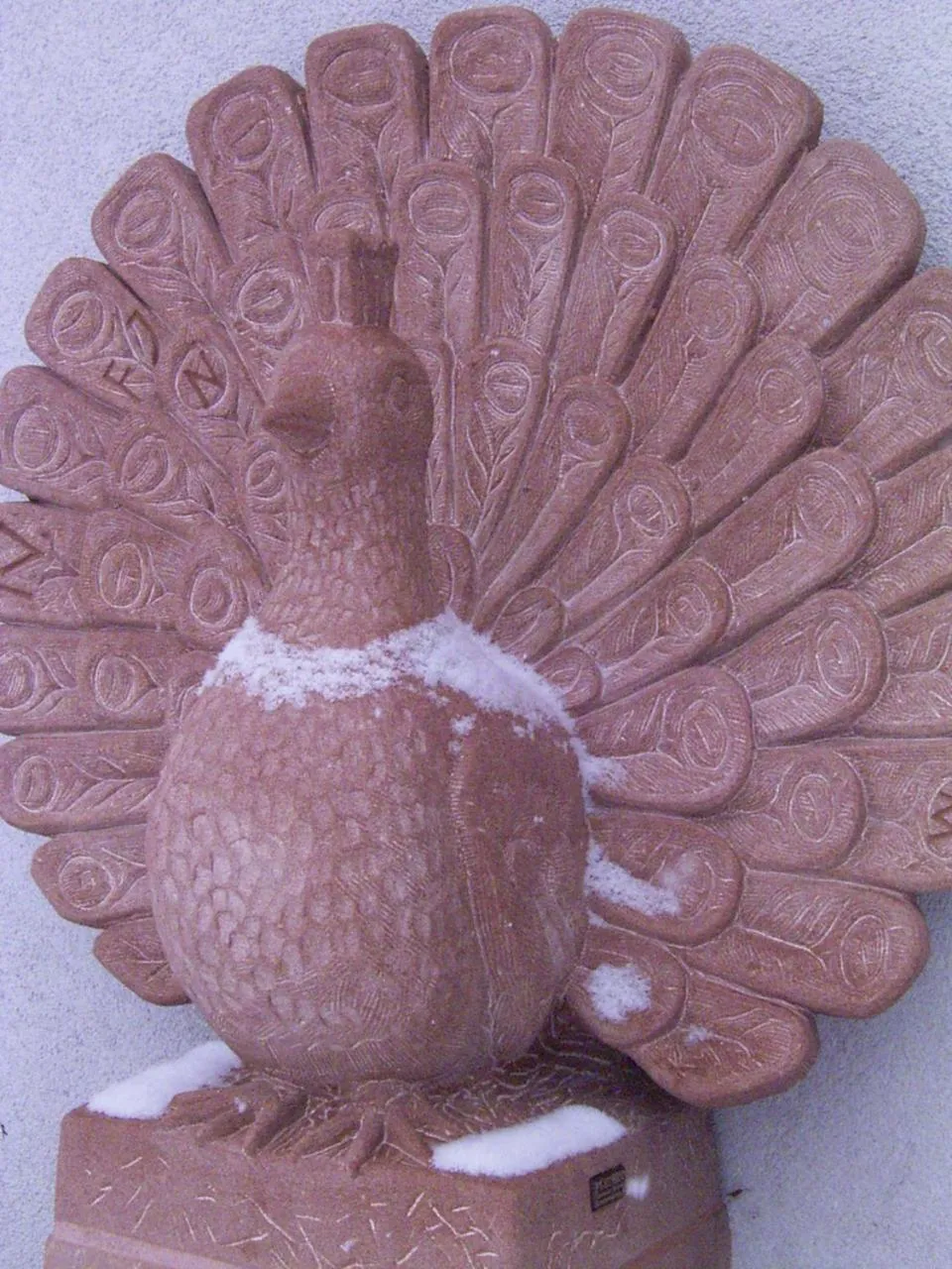 Other in TIPTOP Hotel Garni Pfauen