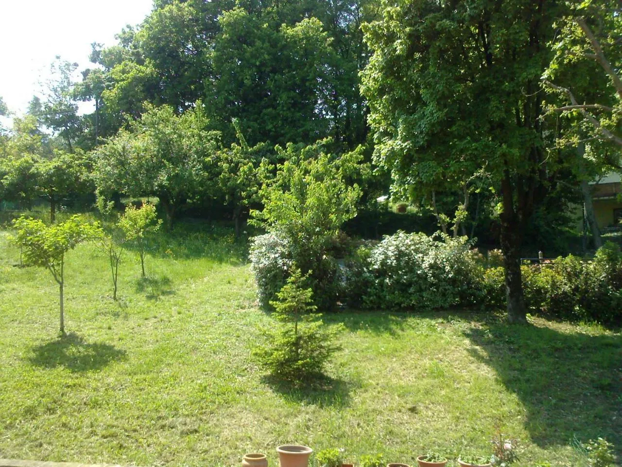 Garden view in B&B La Pilastrina