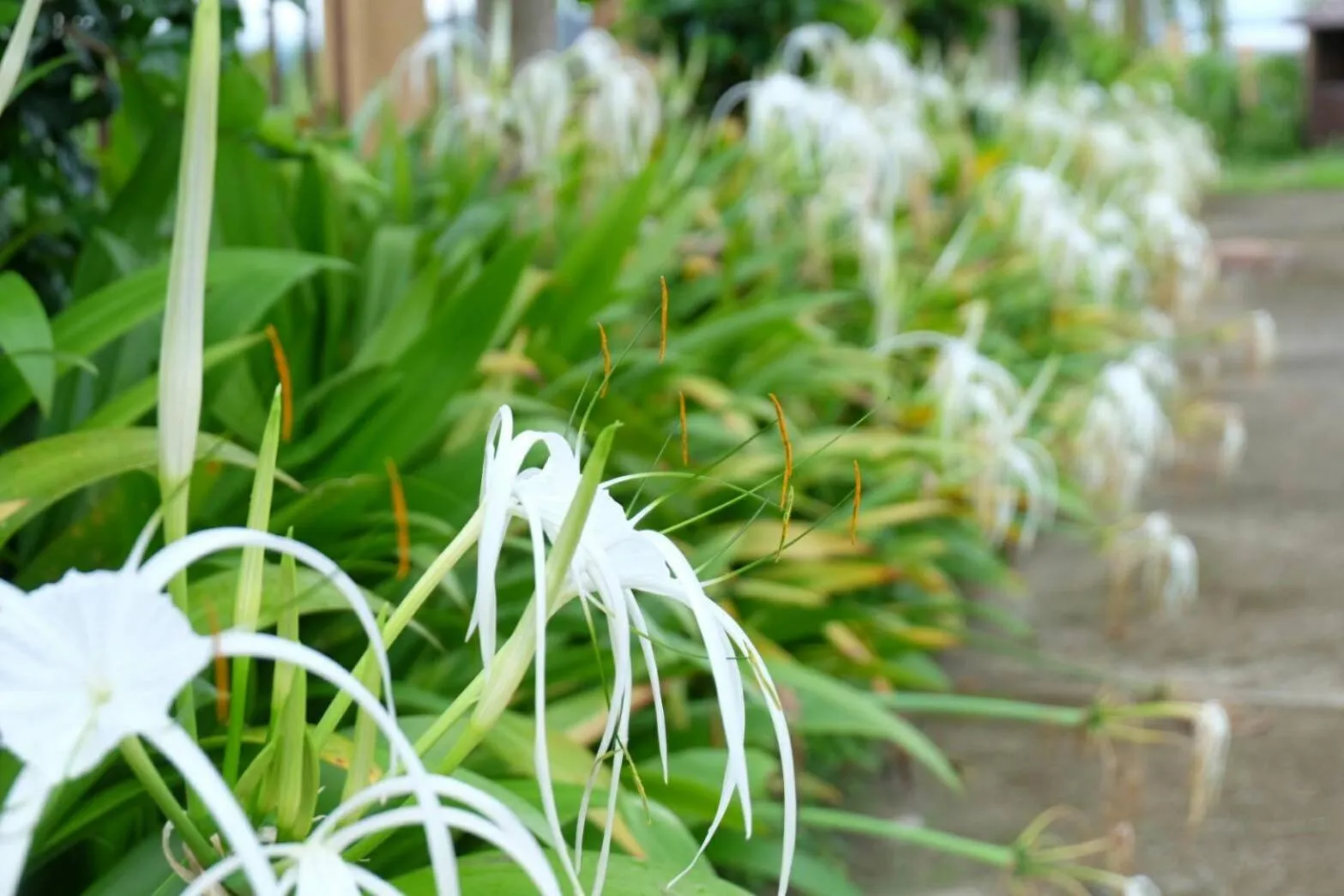 Northstar Hotel And Resort