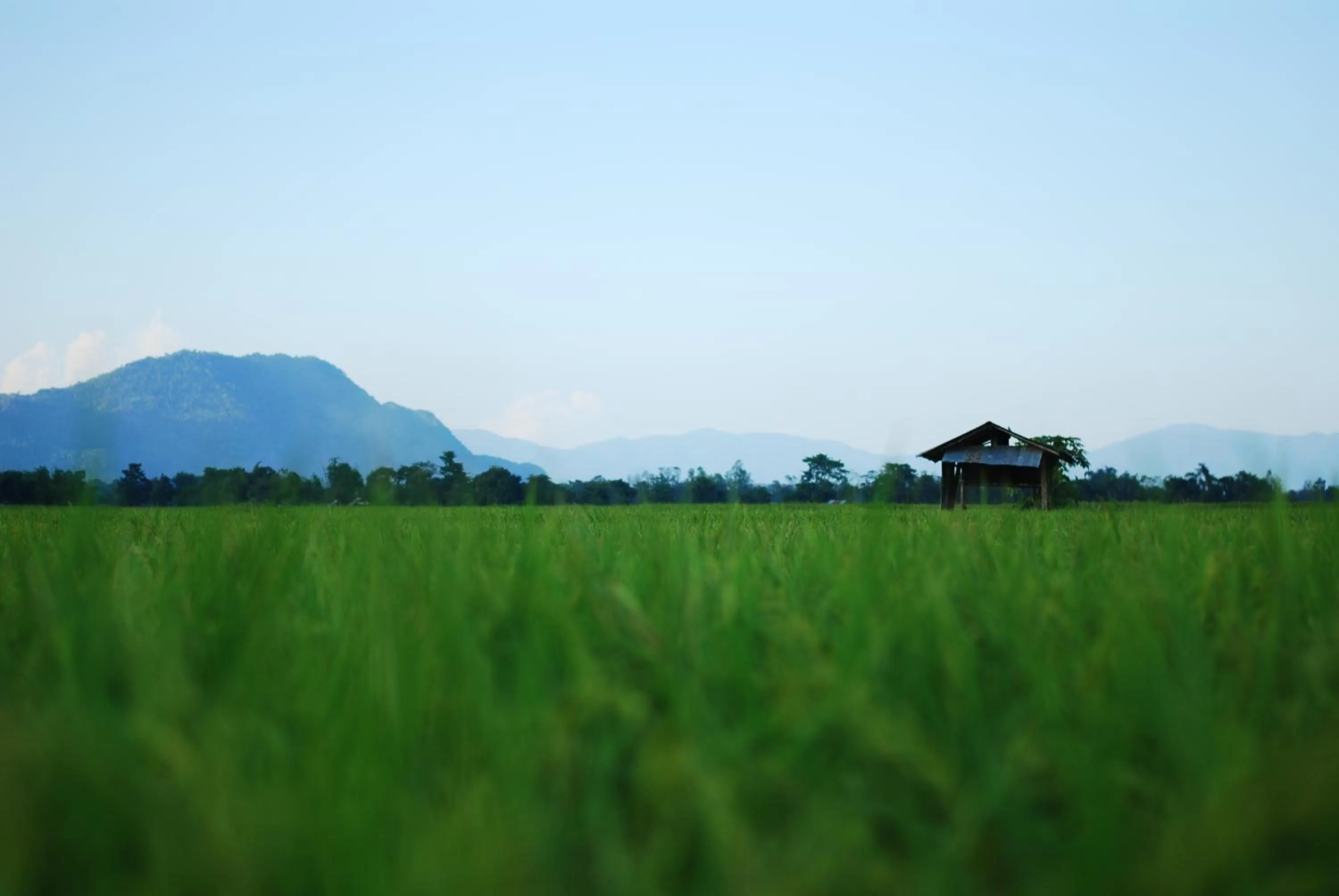 Restaurant/places to eat in Northstar Hotel And Resort