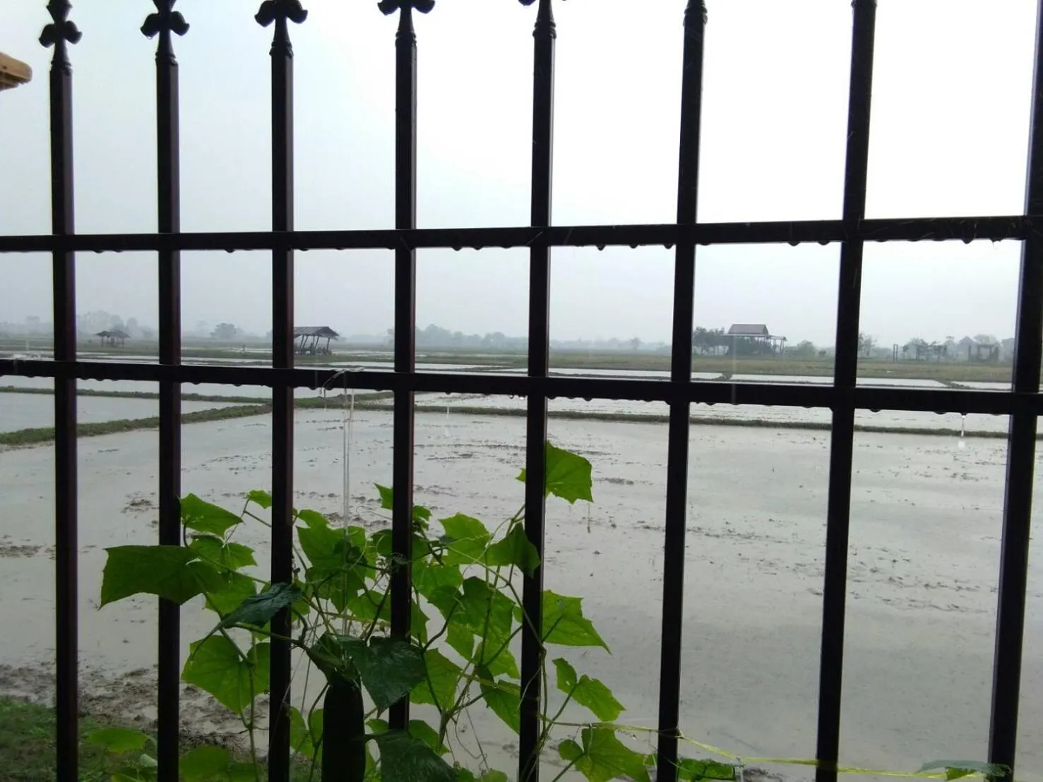 Northstar Hotel And Resort