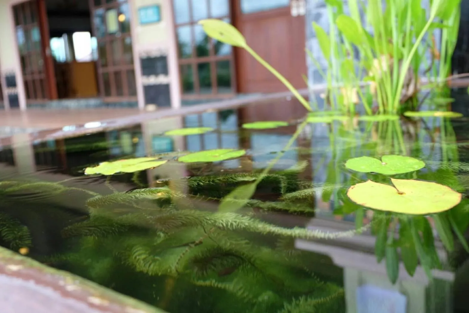 Northstar Hotel And Resort