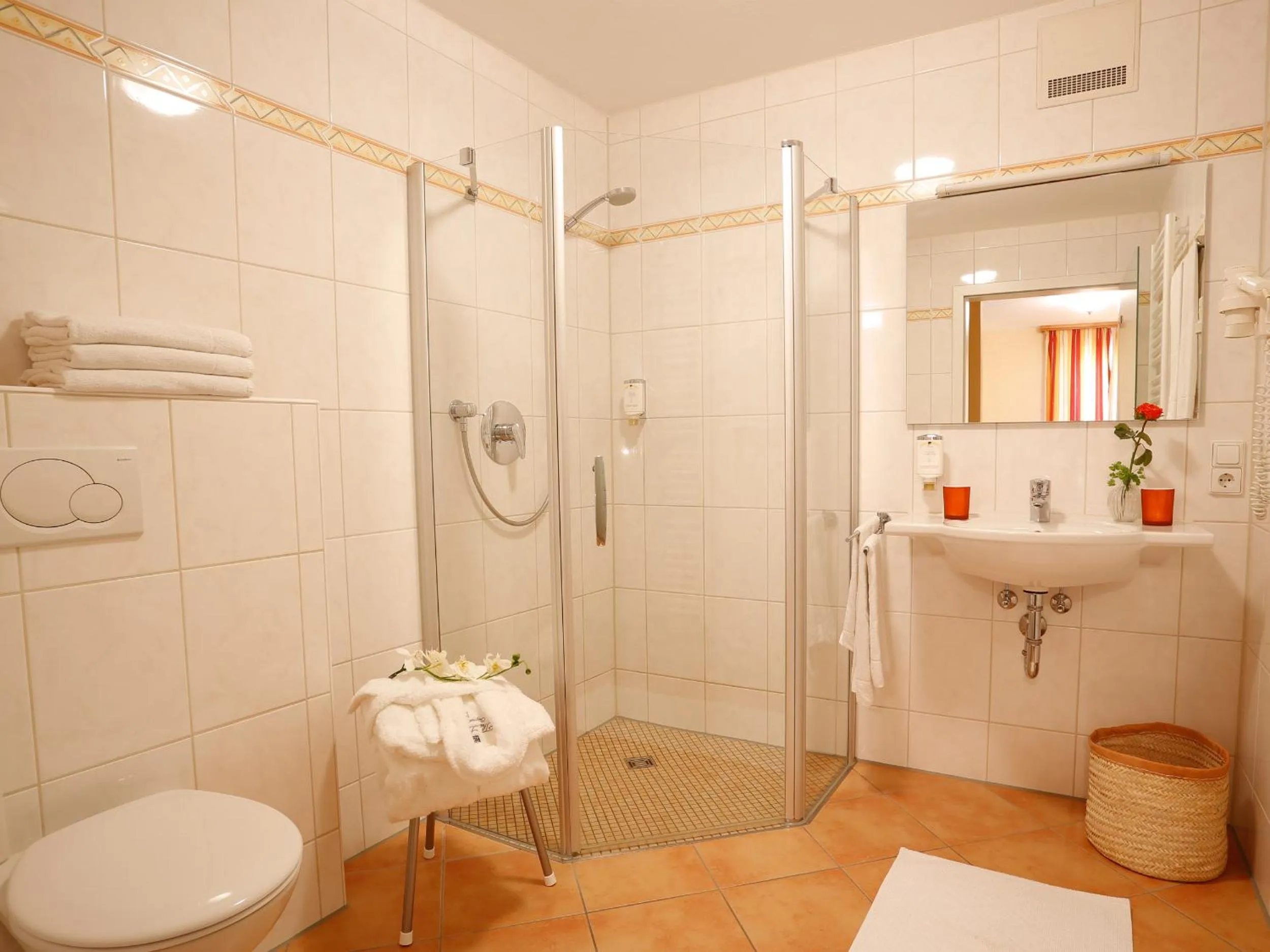 Shower in Landhotel Mohren