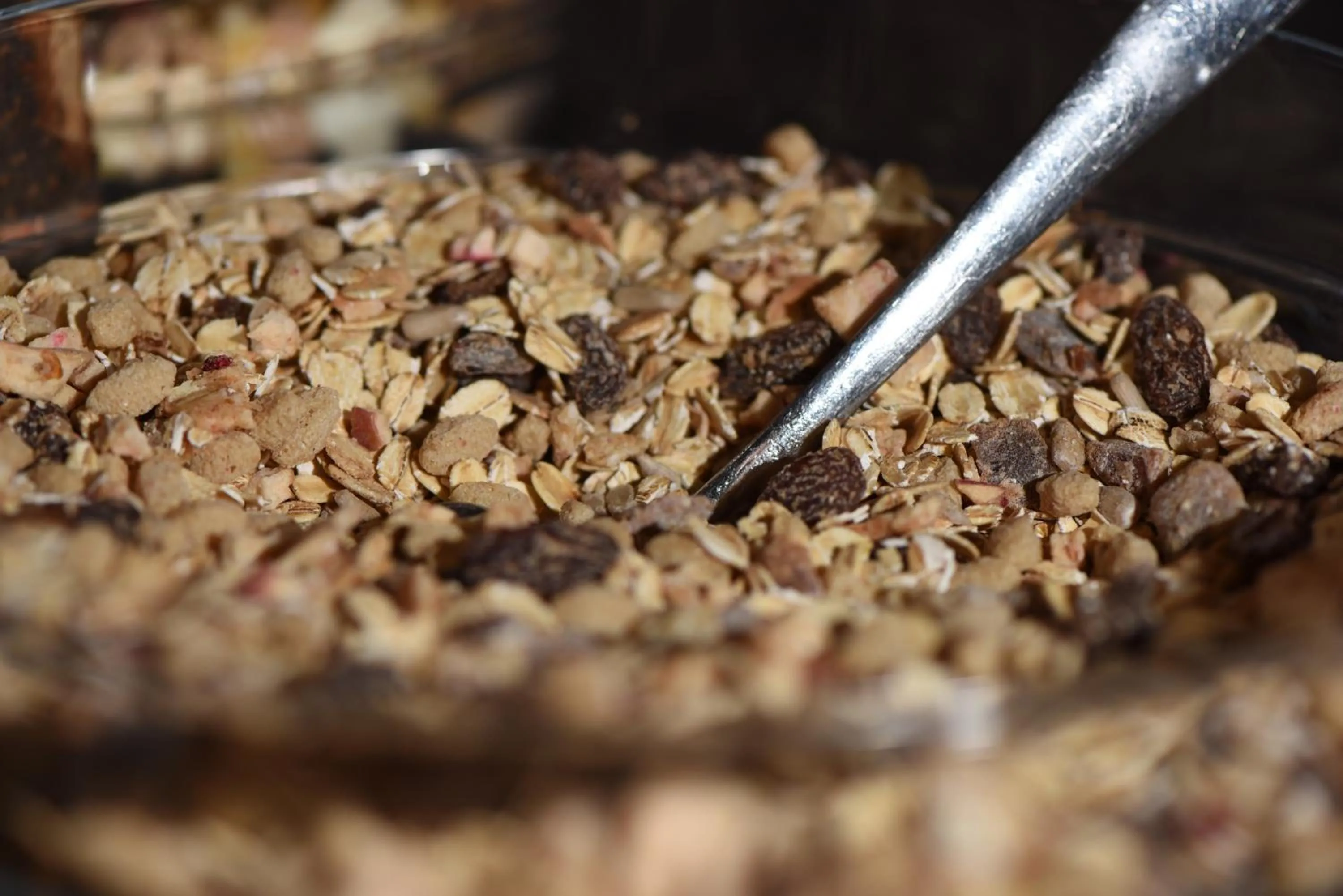 Food close-up in Hotel Casa Colonia