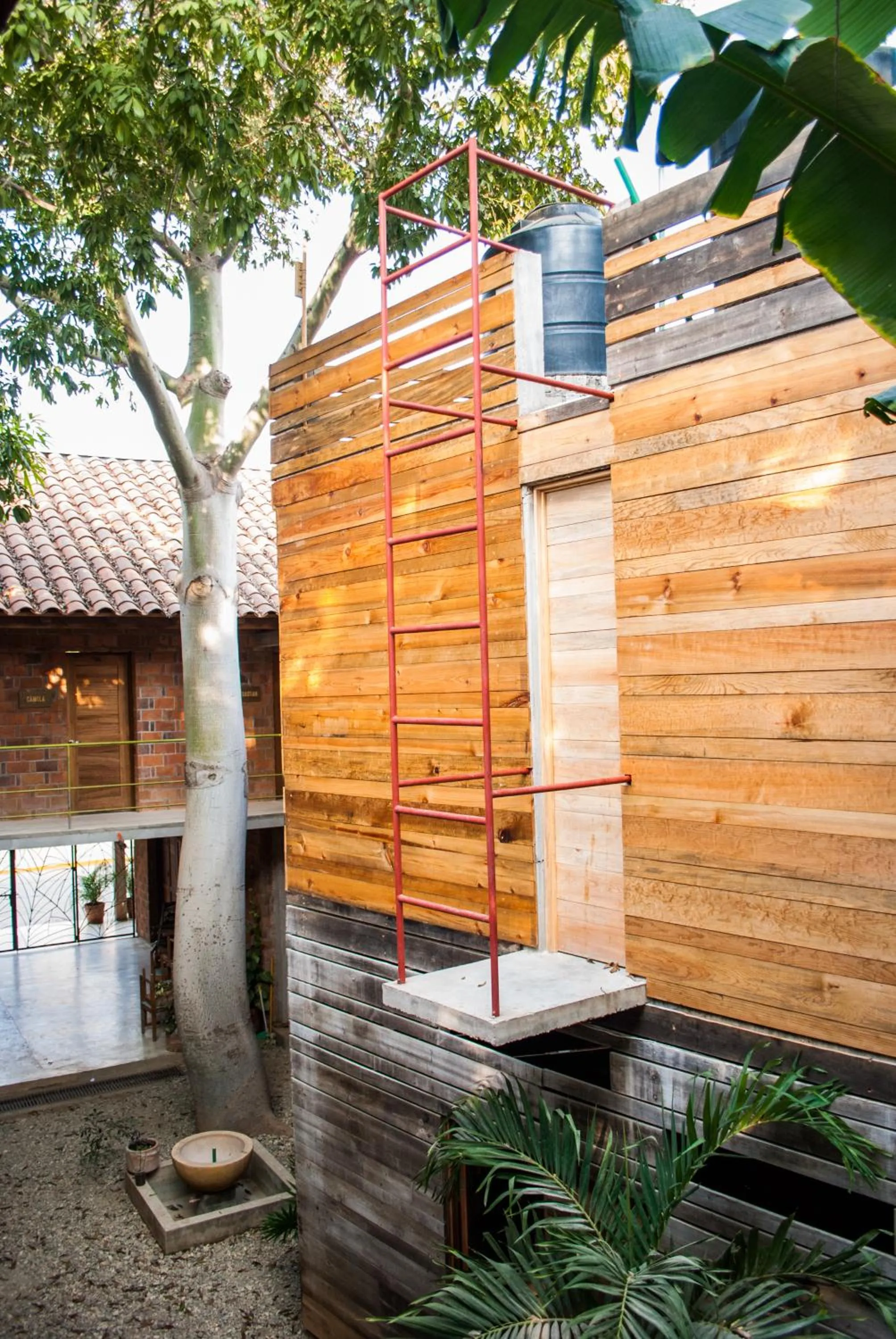 Property building in Hotel Pochote Mazunte