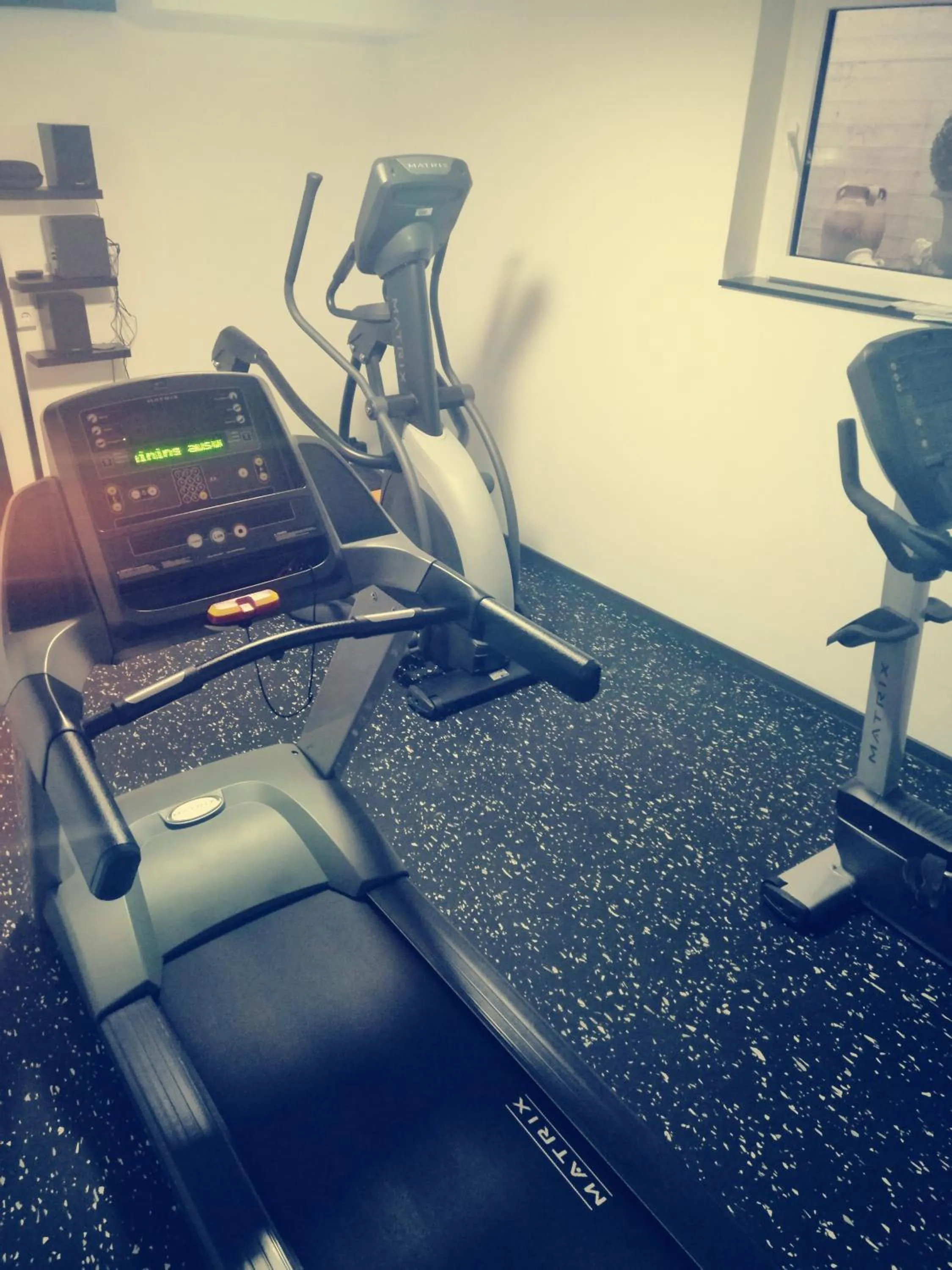 Fitness centre/facilities in Hotel Wilder Mann