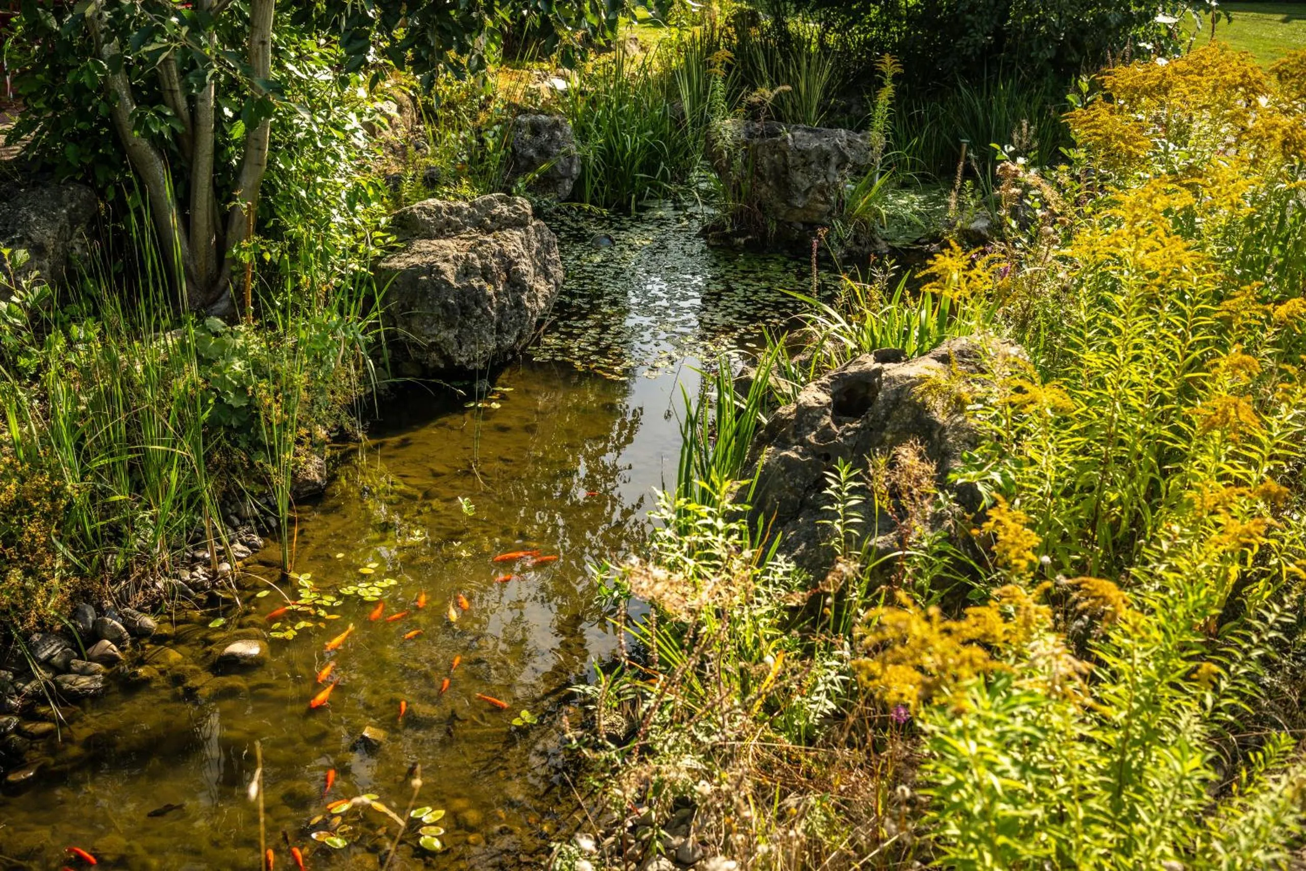Area and facilities in Dresdner Tor Süd