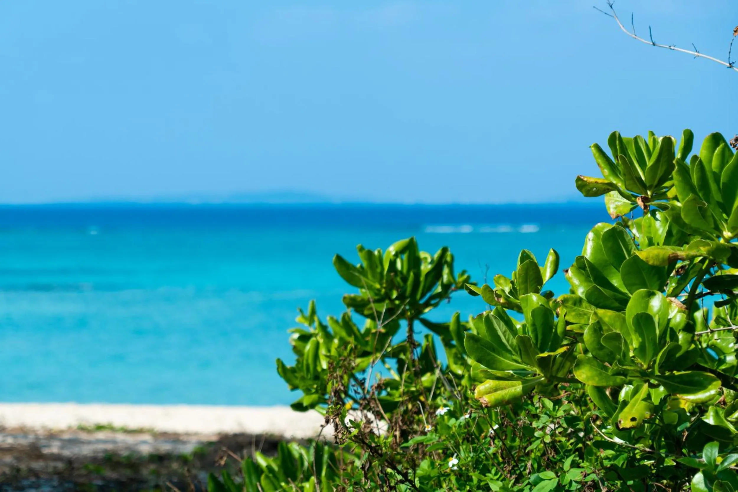 Beach in UMITO Okinawa Onnason