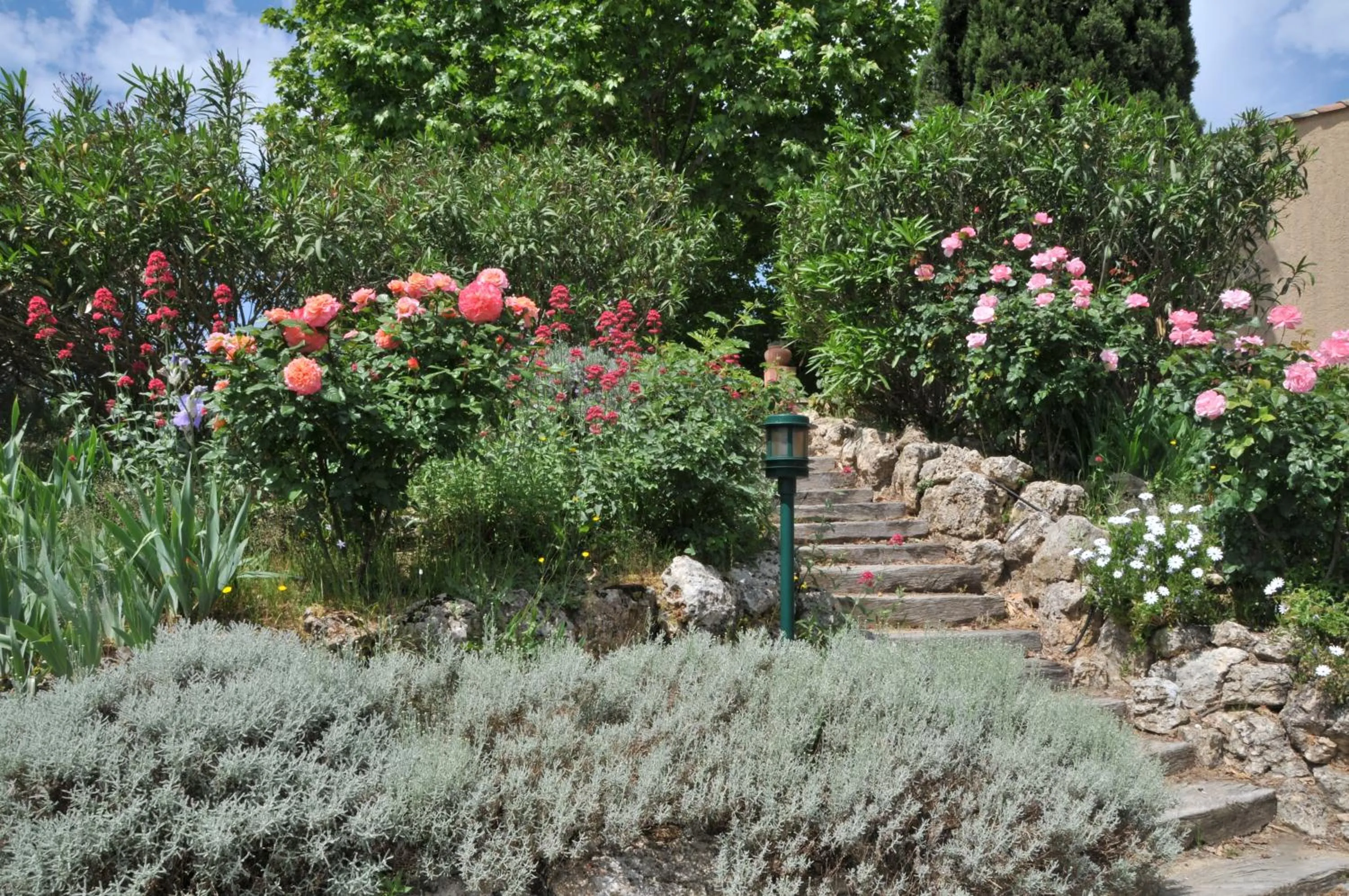 Garden in Bastide de l'Avelan