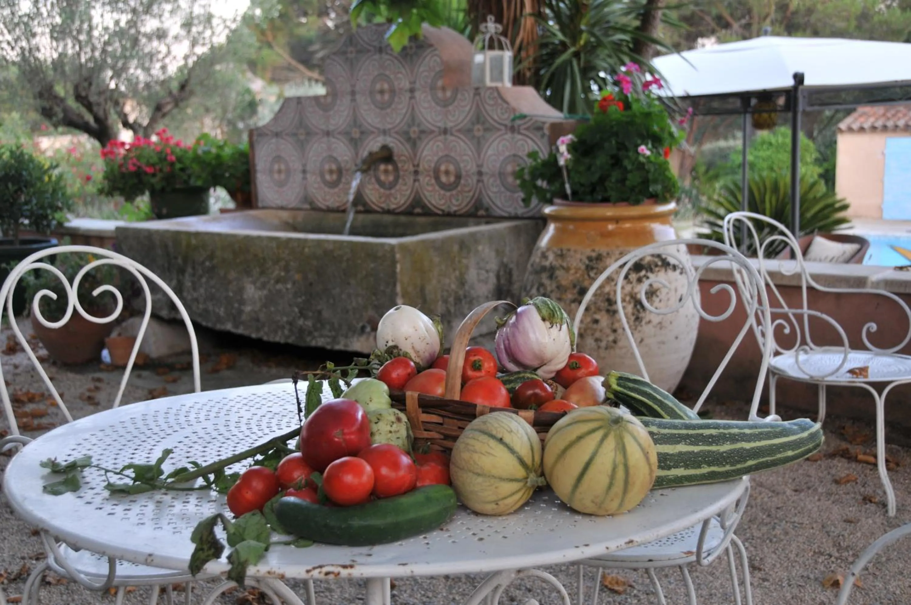 Garden in Bastide de l'Avelan