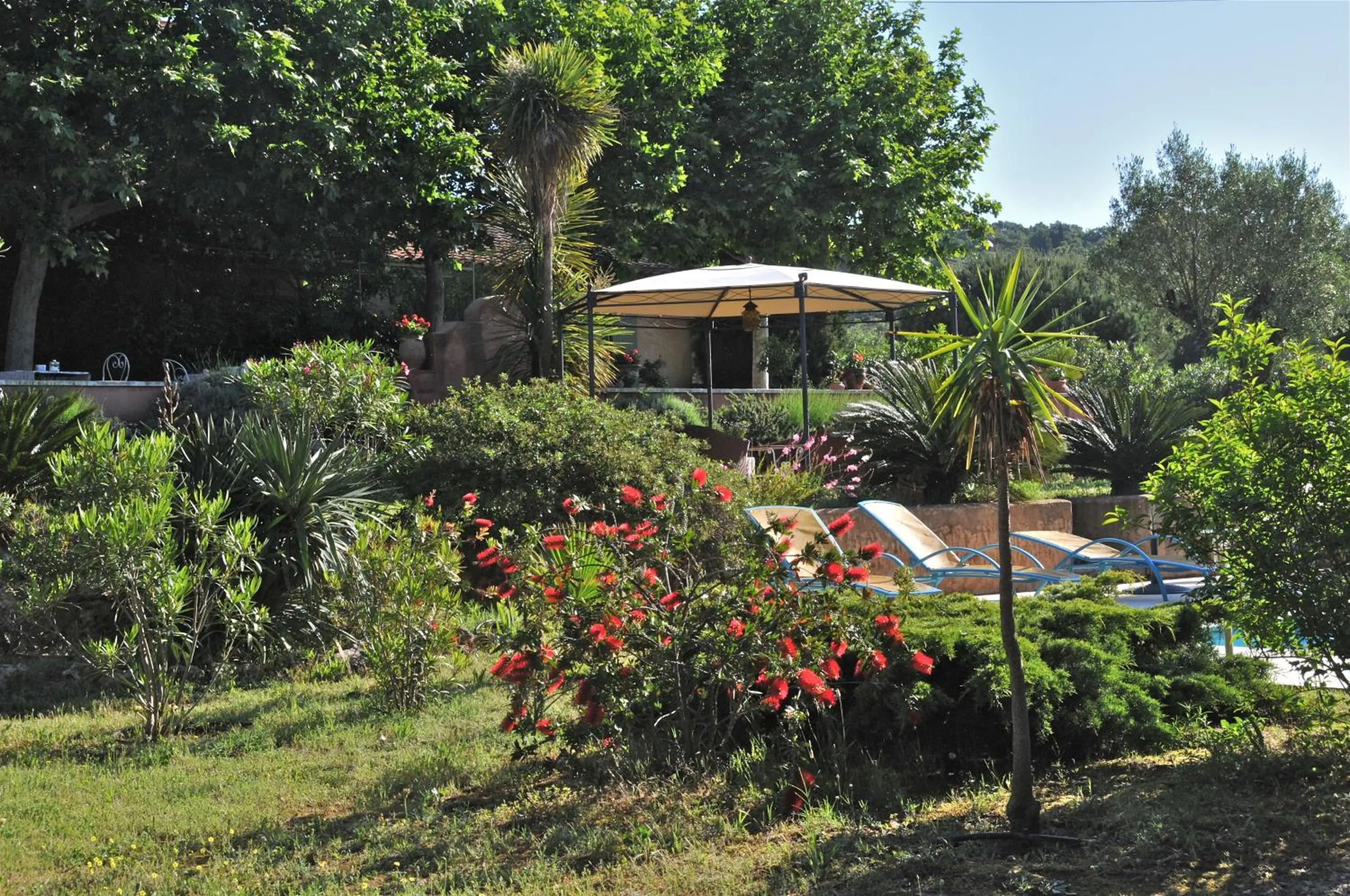 Garden in Bastide de l'Avelan