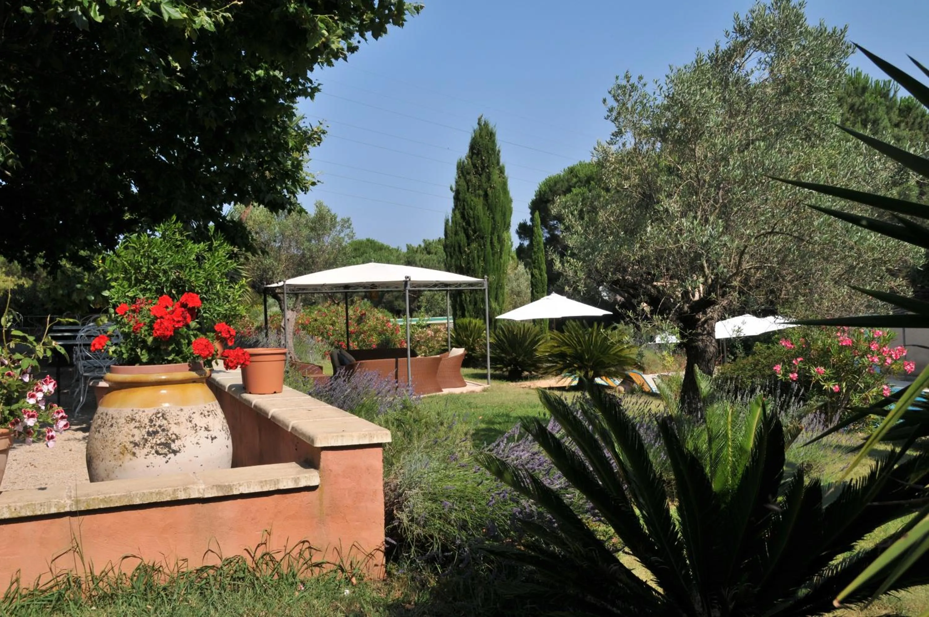 Garden in Bastide de l'Avelan