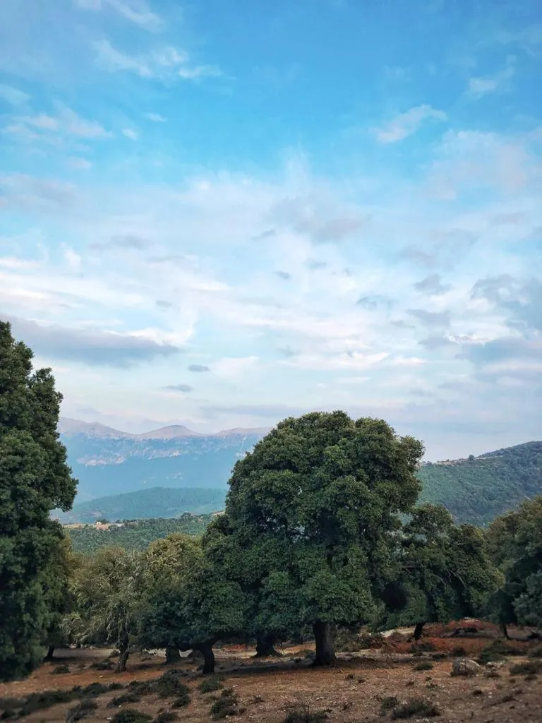 Orgosolo B&B Sardegna