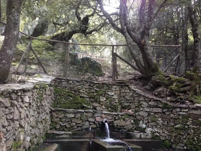 Orgosolo B&B Sardegna