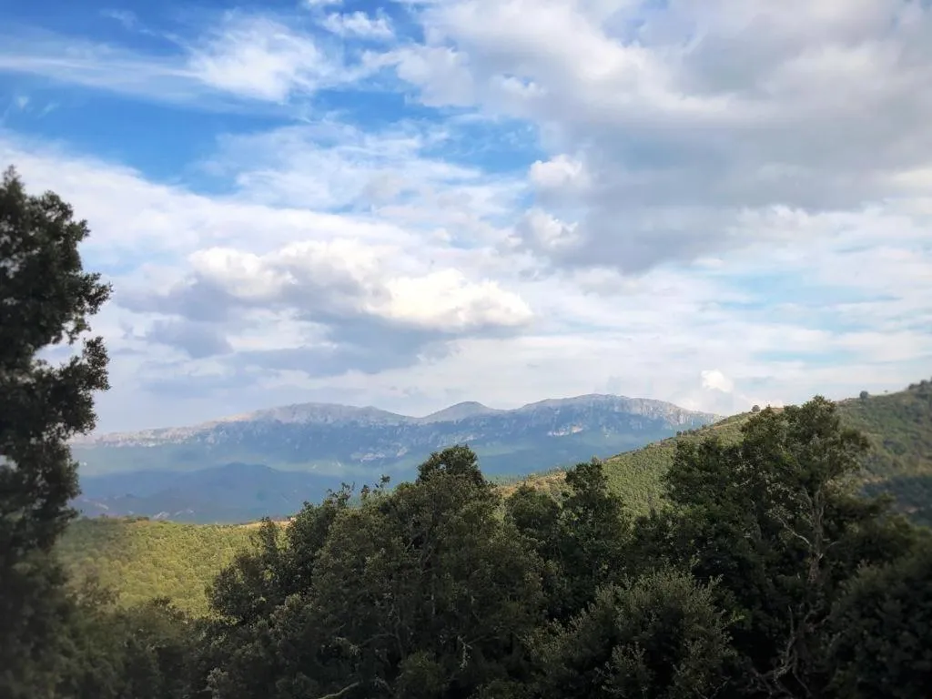 Orgosolo B&B Sardegna