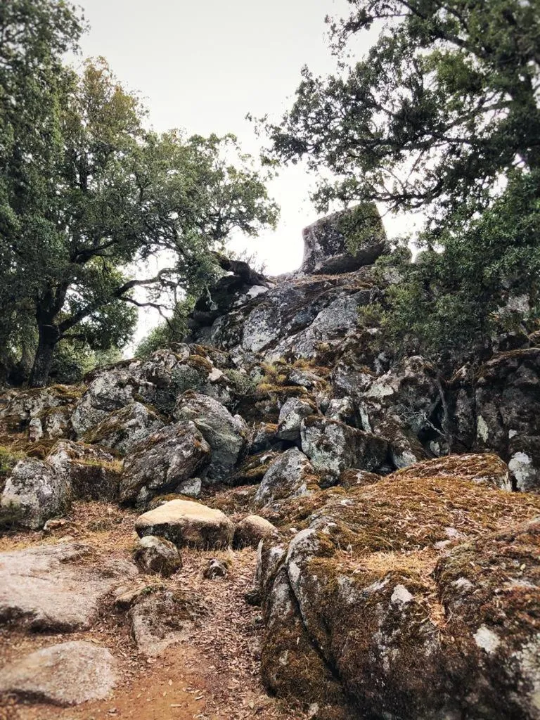 Orgosolo B&B Sardegna