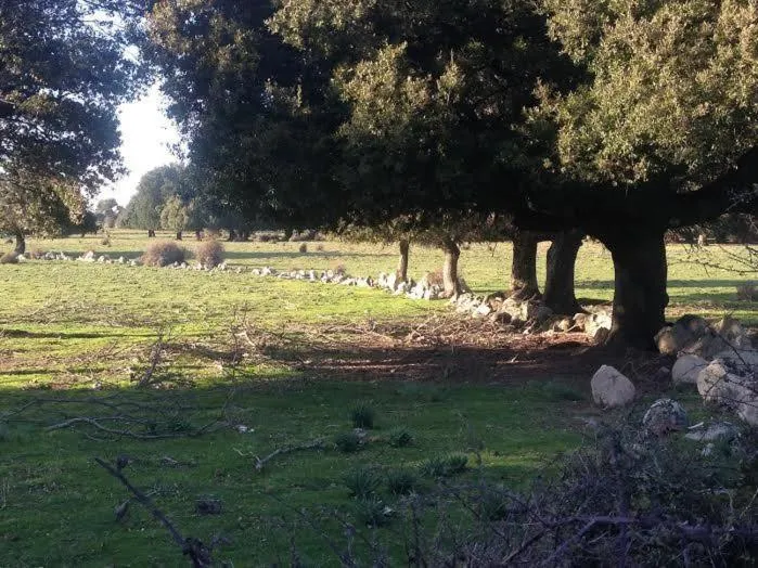 Orgosolo B&B Sardegna