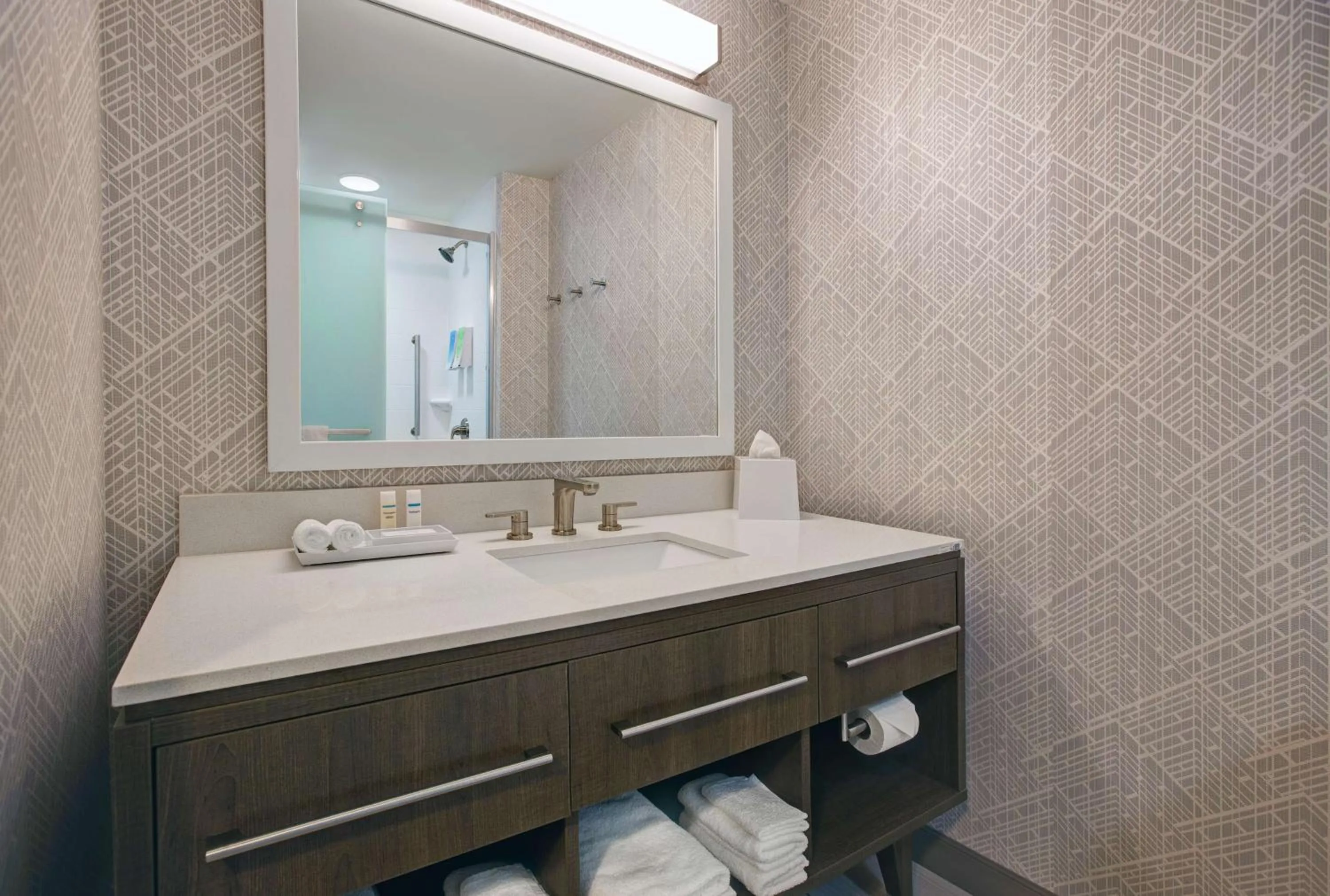 Bathroom in Home2 Suites By Hilton Asheville Airport
