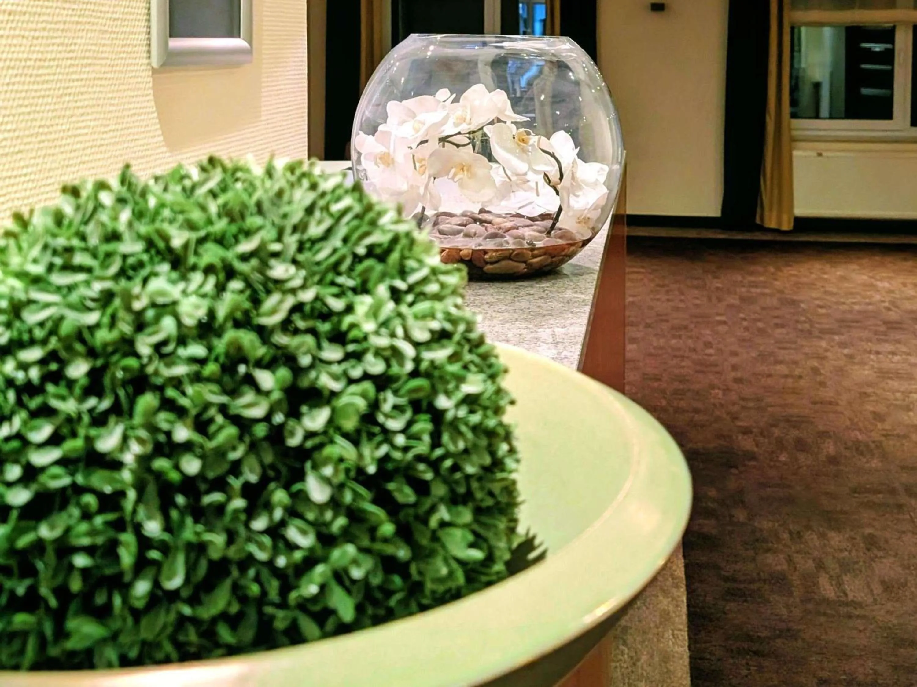 Meeting/conference room in Mercure Hotel Mannheim am Rathaus