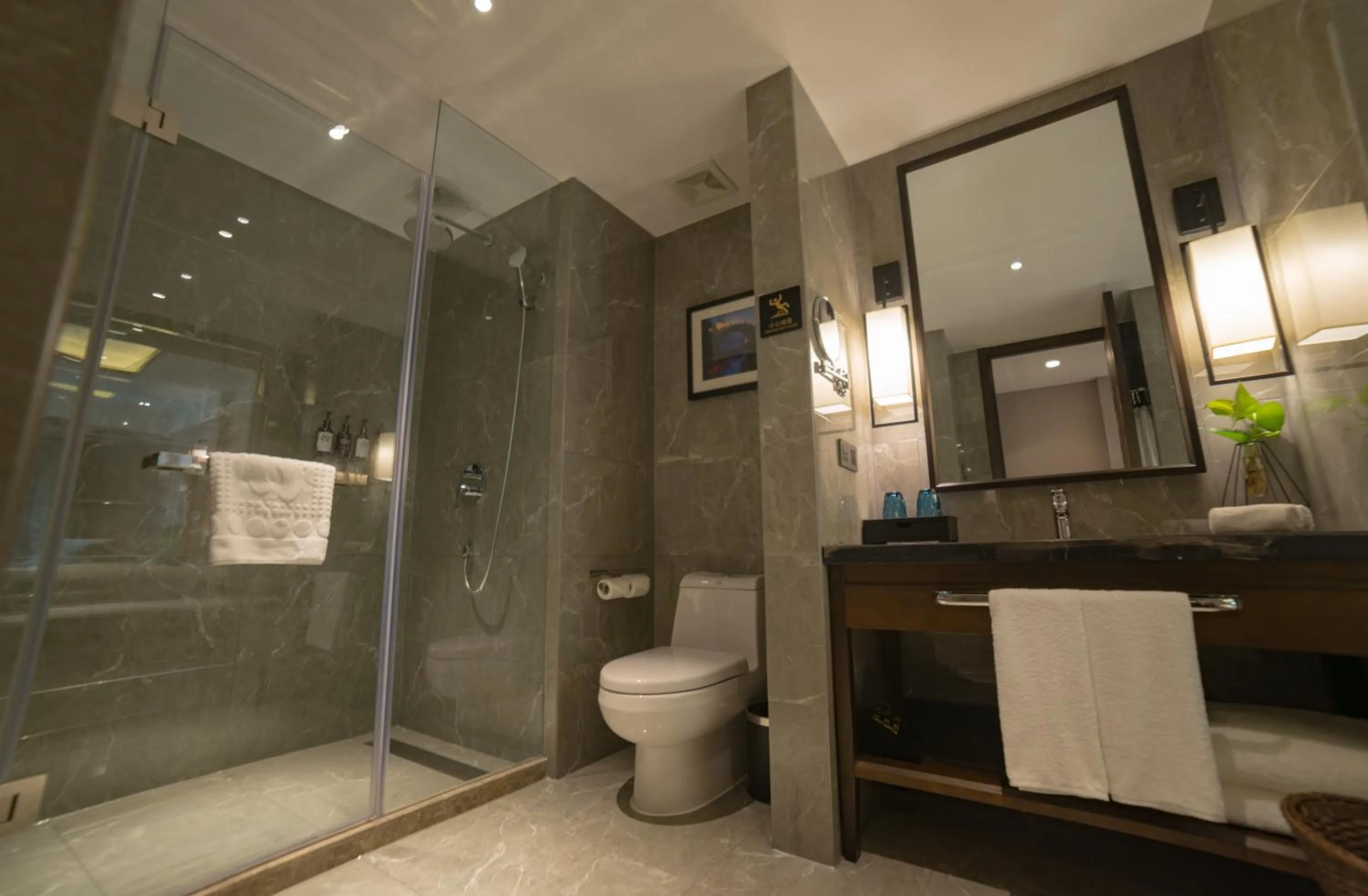 Toilet in SSAW Boutique Hotel Lishui Jiarui