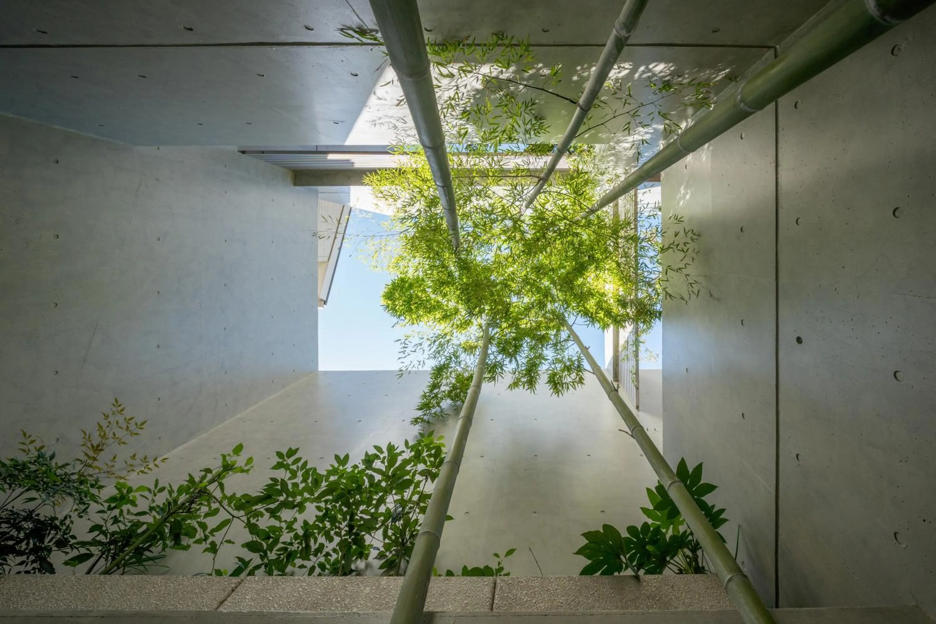 Azabu Modern House The Tokyo Tower can be seen from the villa 500m2