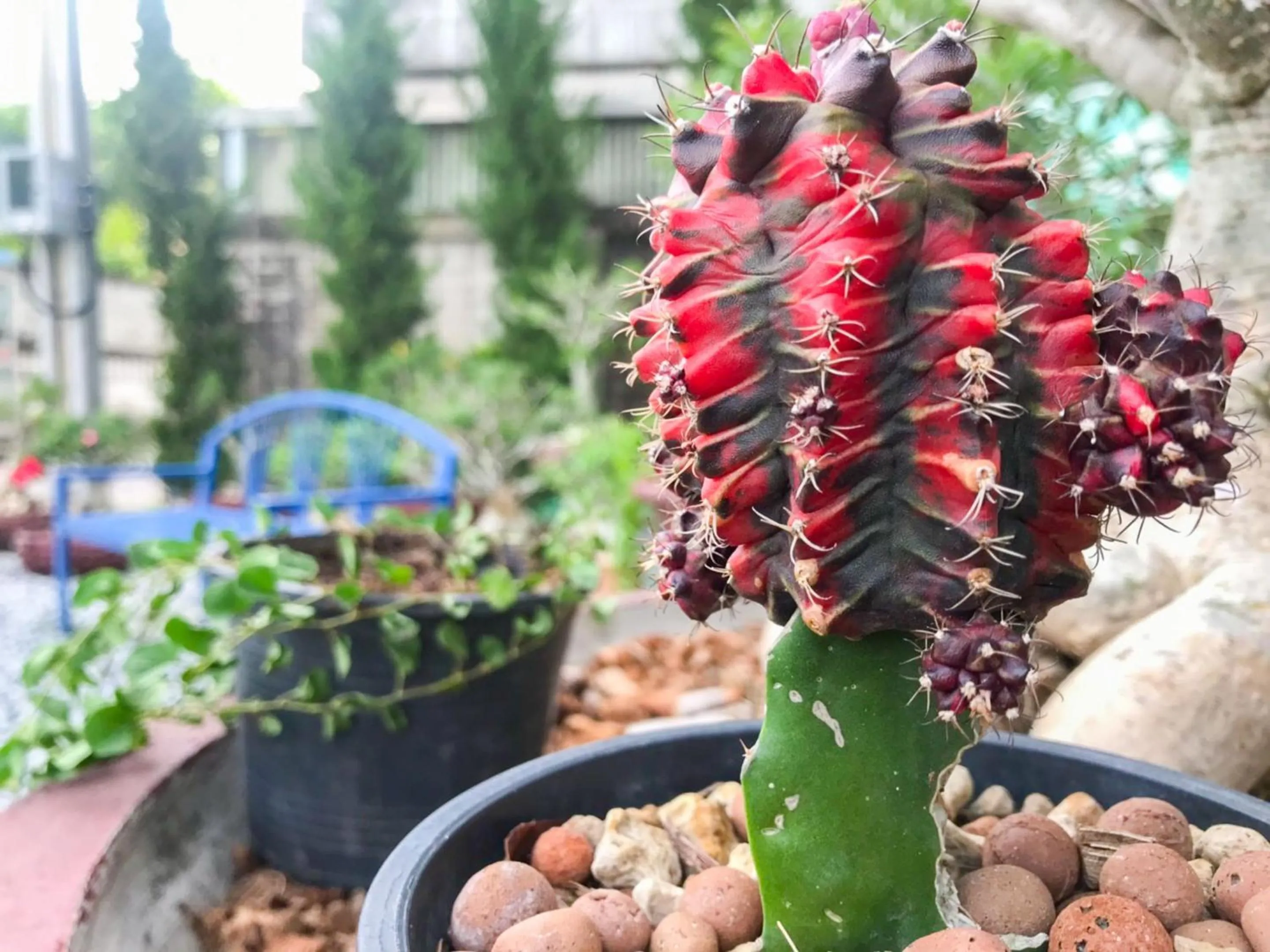 Area and facilities in Delighted Bangkok Hotel