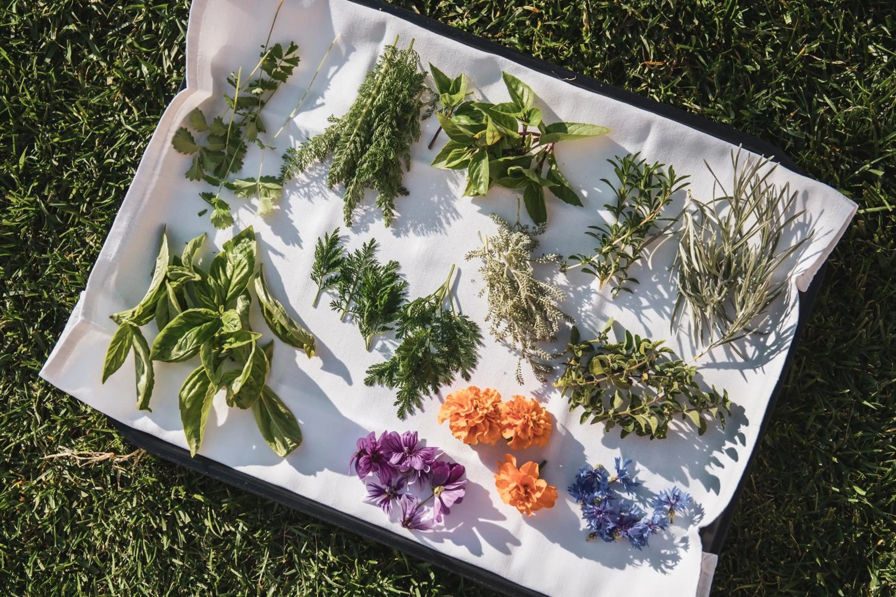 Restaurant/places to eat in Magari Estates Boutique Hotel