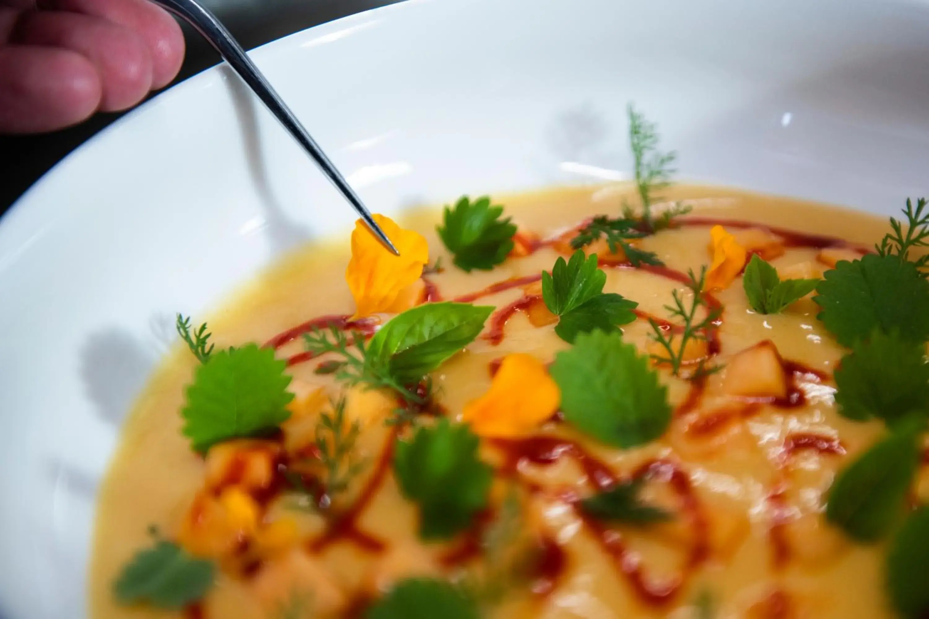 Restaurant/places to eat in Magari Estates Boutique Hotel Restaurant/places to eat in Magari Estates Boutique Hotel