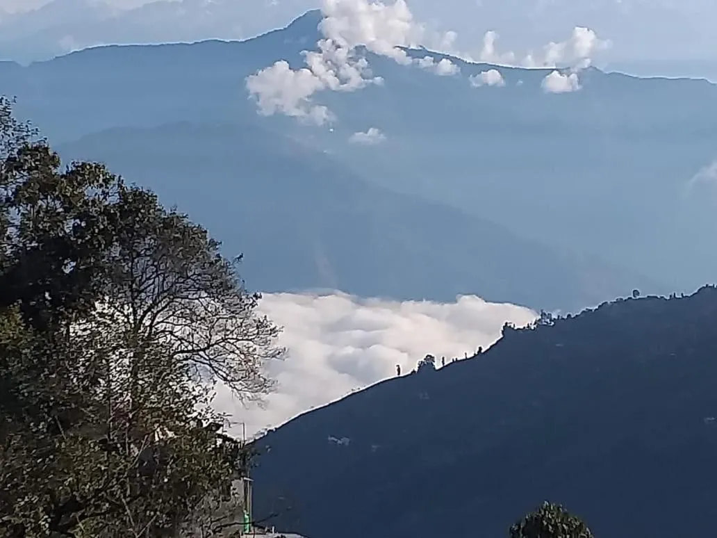 Madys view -Aaple Ghar