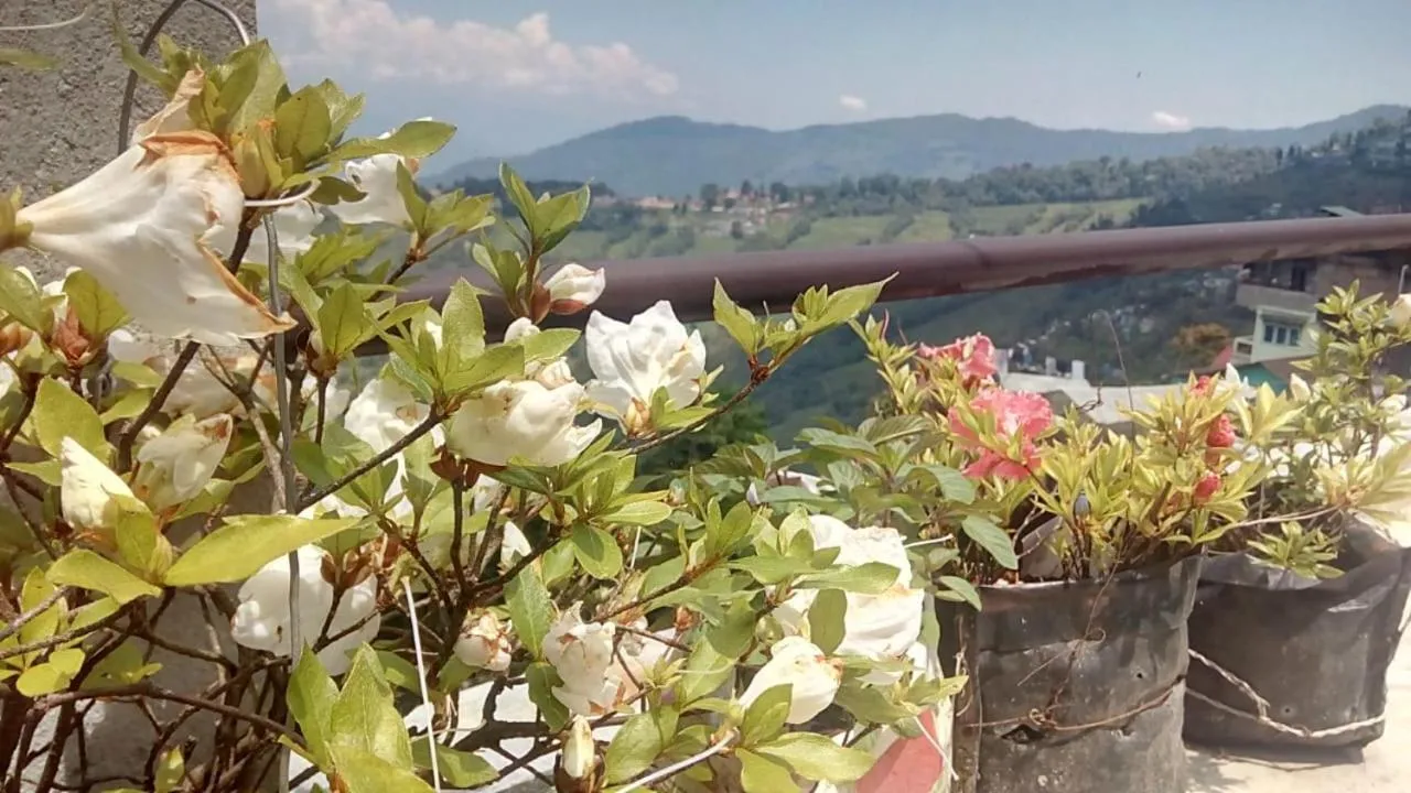 Madys view -Aaple Ghar