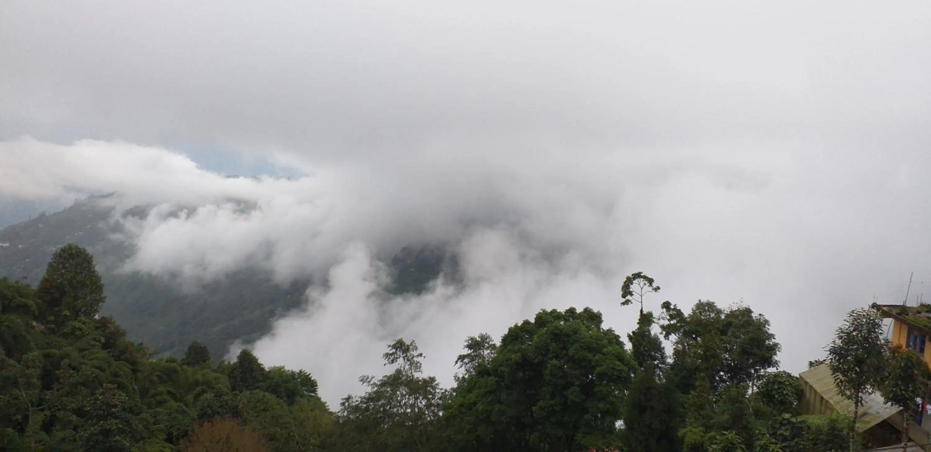 Madys view -Aaple Ghar