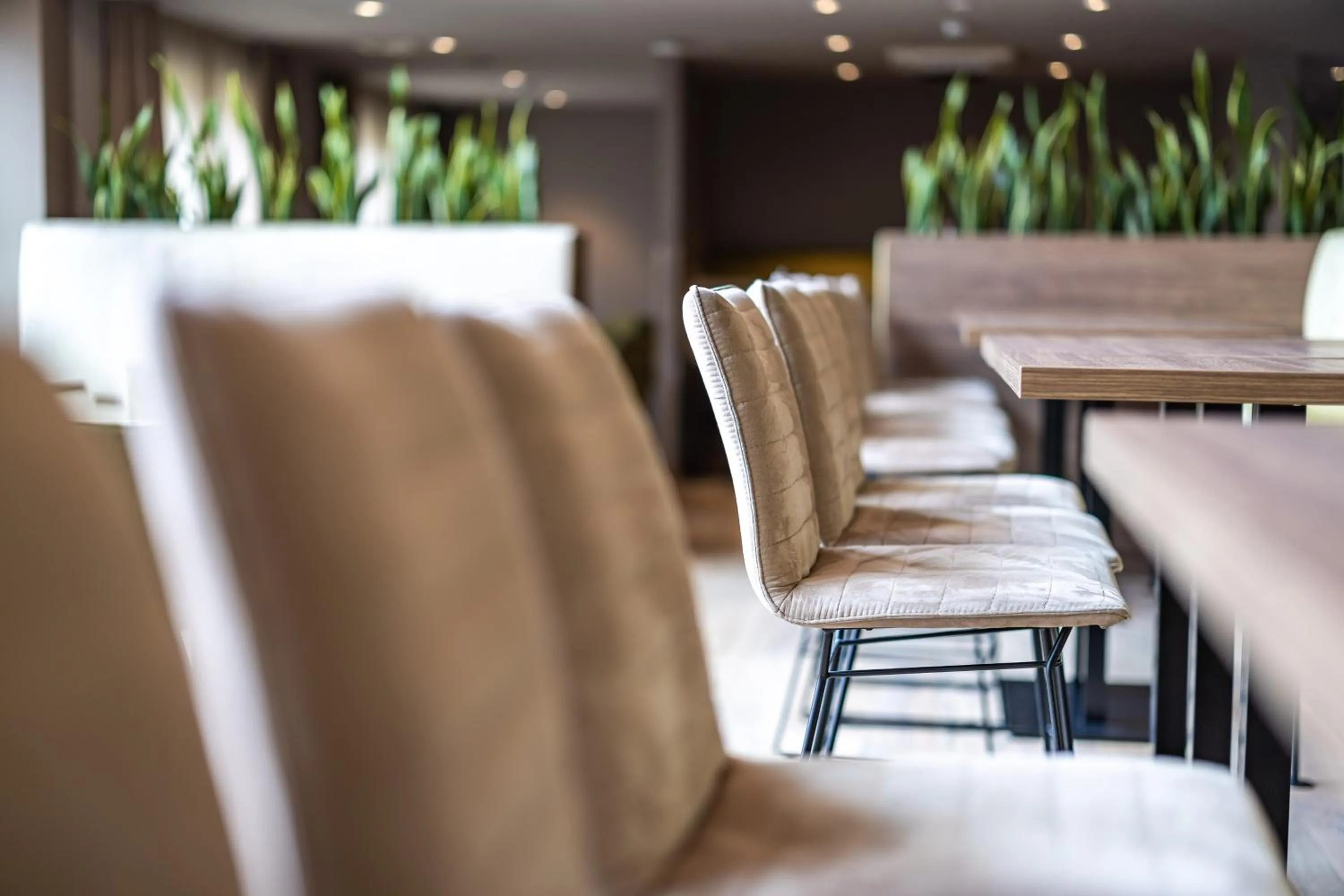 Restaurant/places to eat in Platzhirsch Living