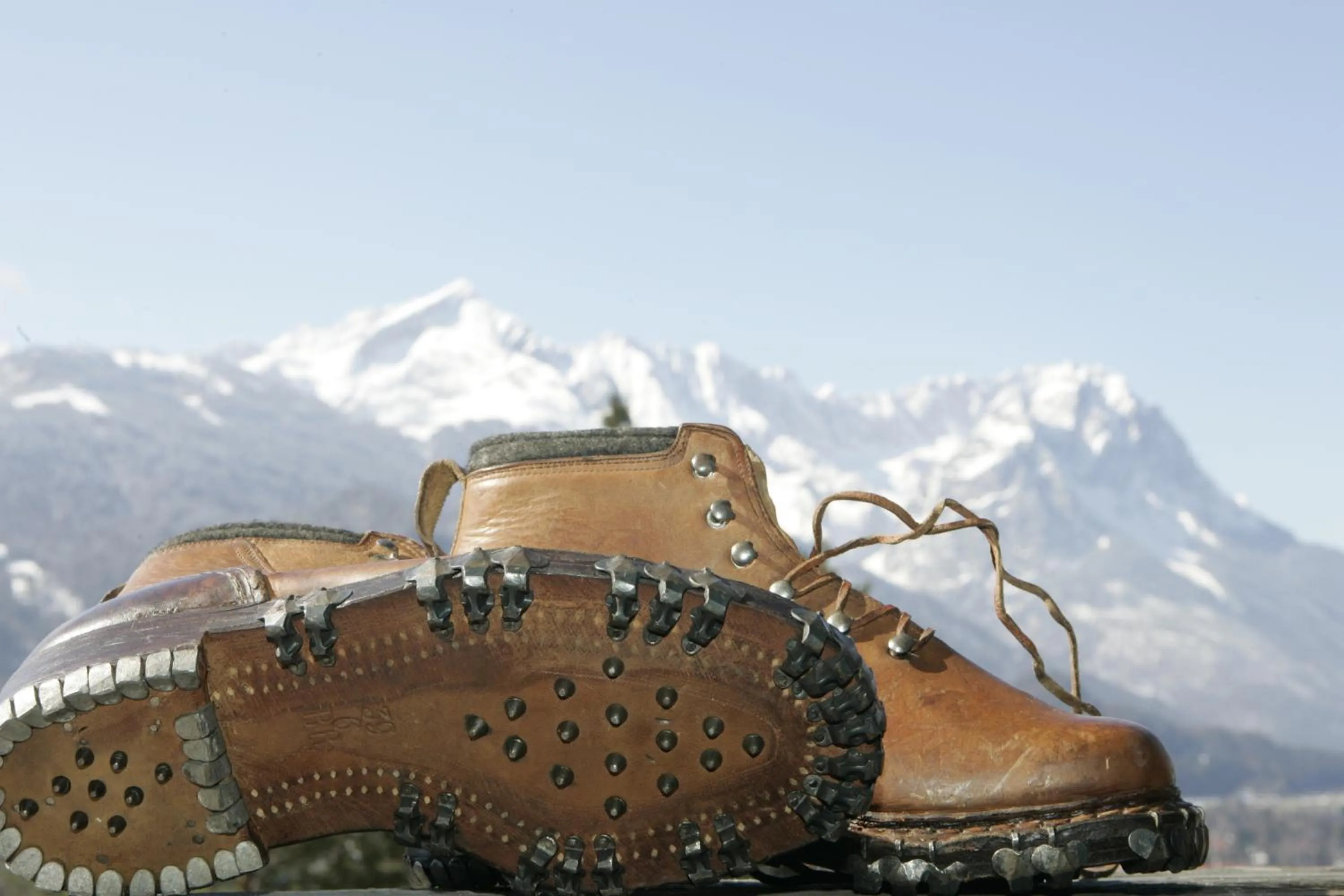 Area and facilities in Landkomforthotel Panorama & Restaurant Bella Vista