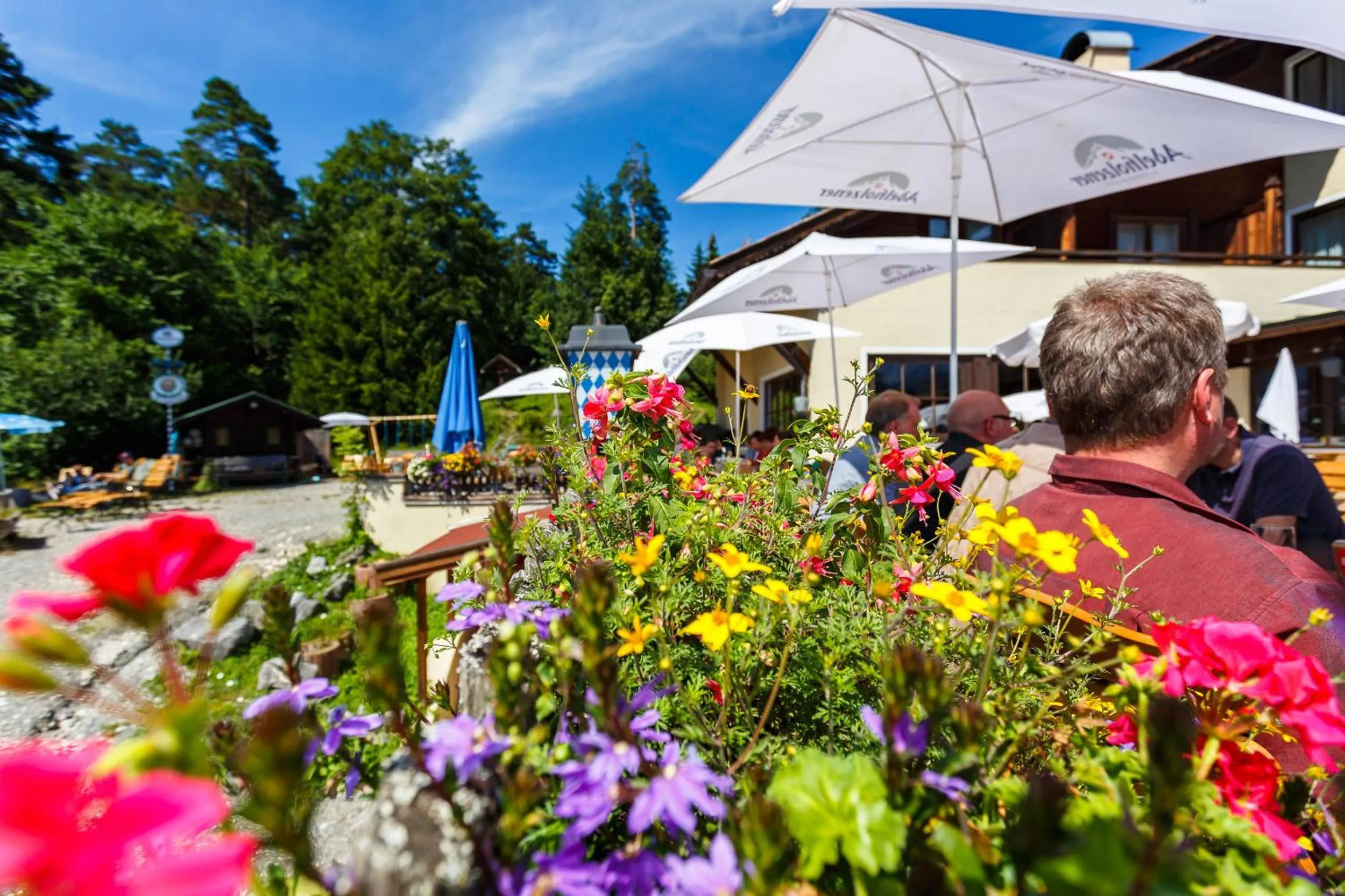 Restaurant/places to eat in Landkomforthotel Panorama & Restaurant Bella Vista