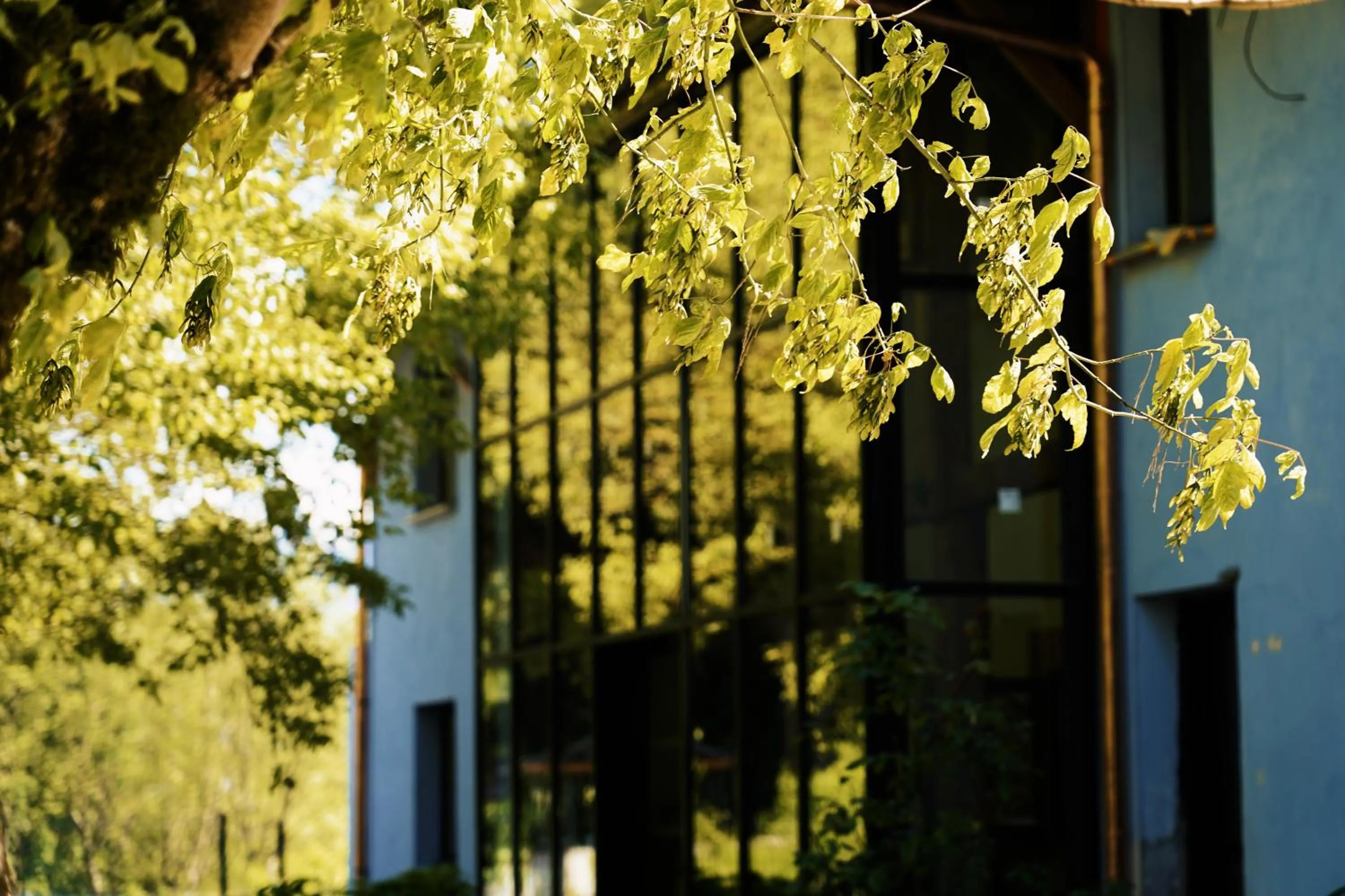 Property building in Hôtel Le Mouton Bleu