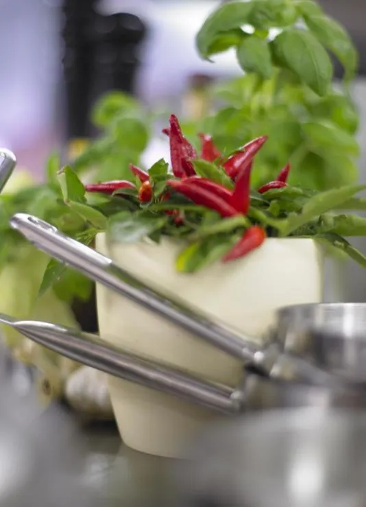 Decorative detail in Adler Hotel & Restaurant Groß-Gerau