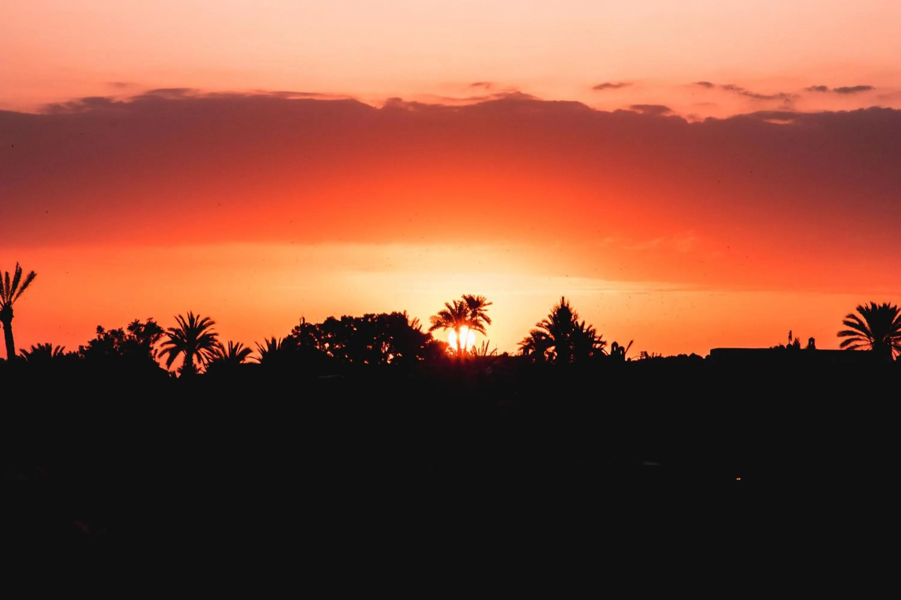 Balcony/Terrace in Casa De Marrakech Riad Guest House