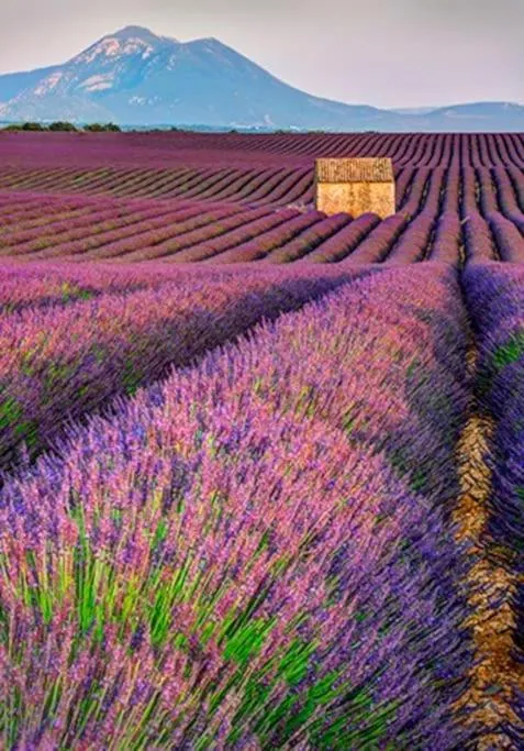 Six chandelles m'étaient comptées