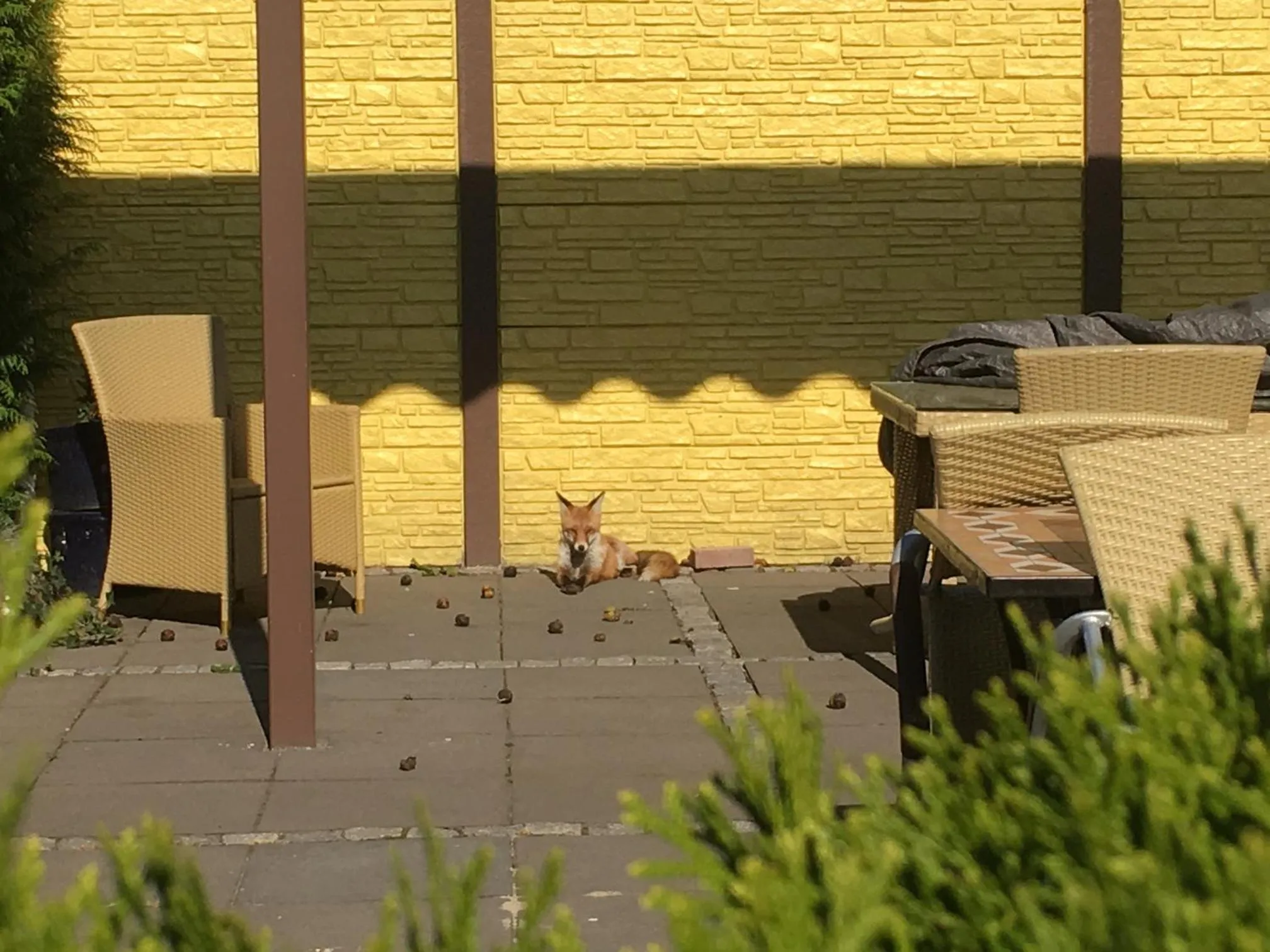 Property building in Apart Hotel Haveltreff