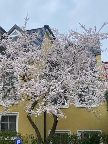 Property building in Apart Hotel Haveltreff