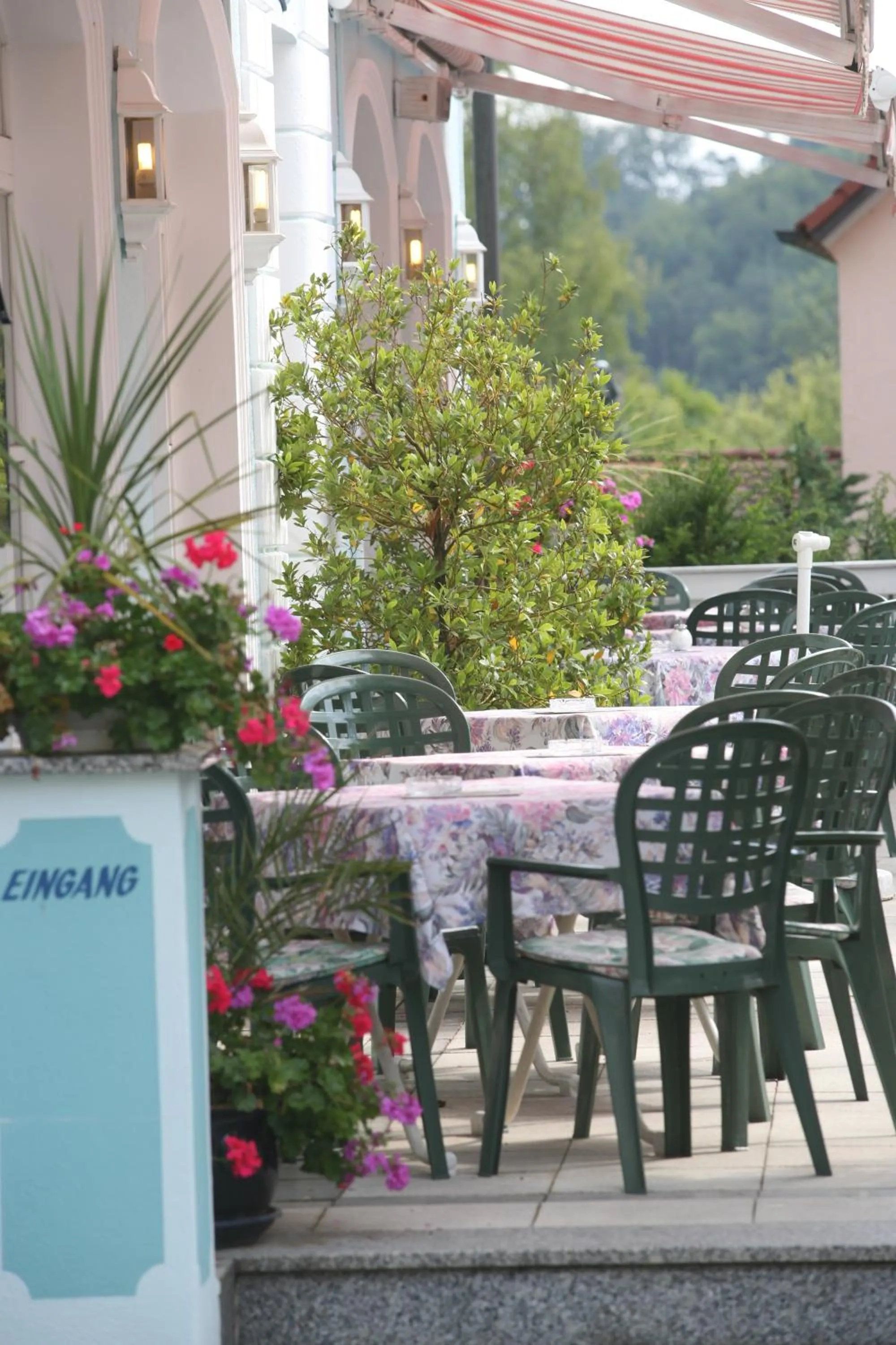 Patio in Hotel Krone