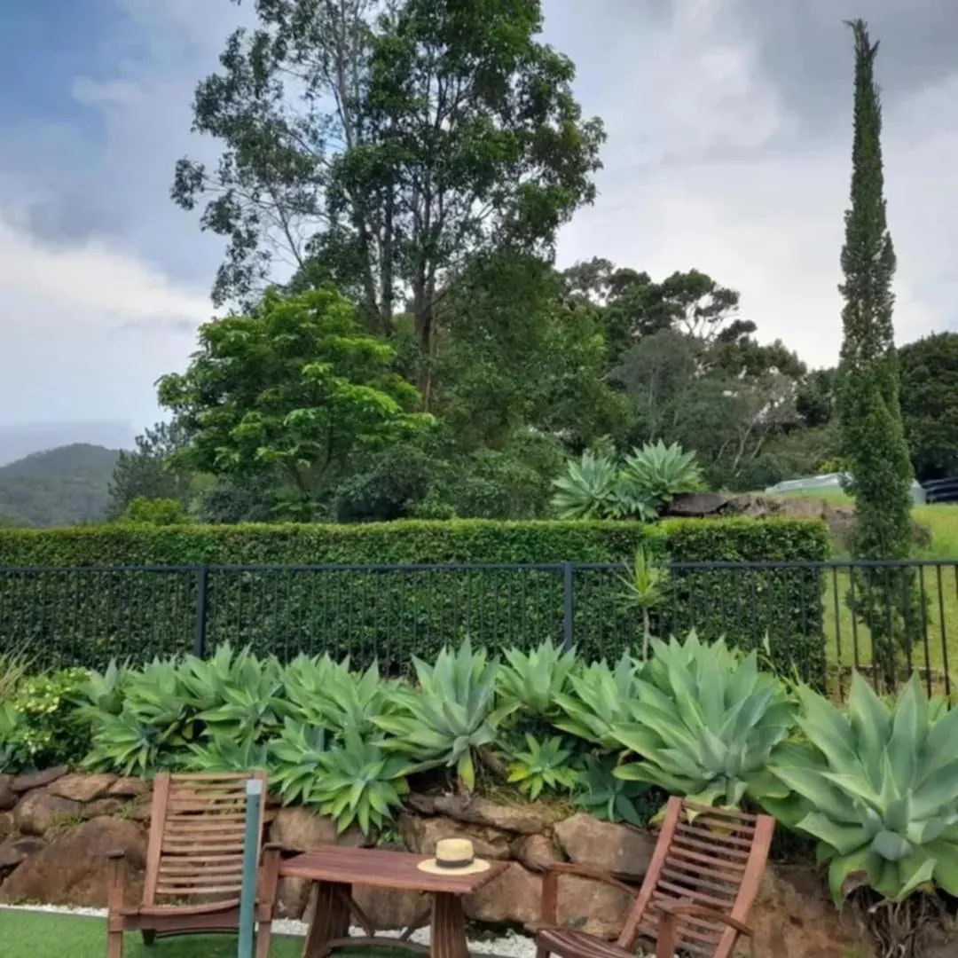 A view of Mount Warning