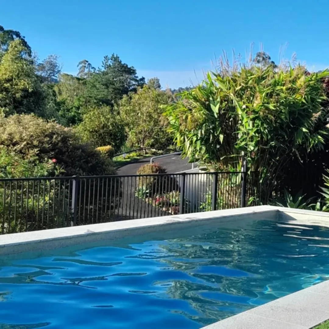 A view of Mount Warning