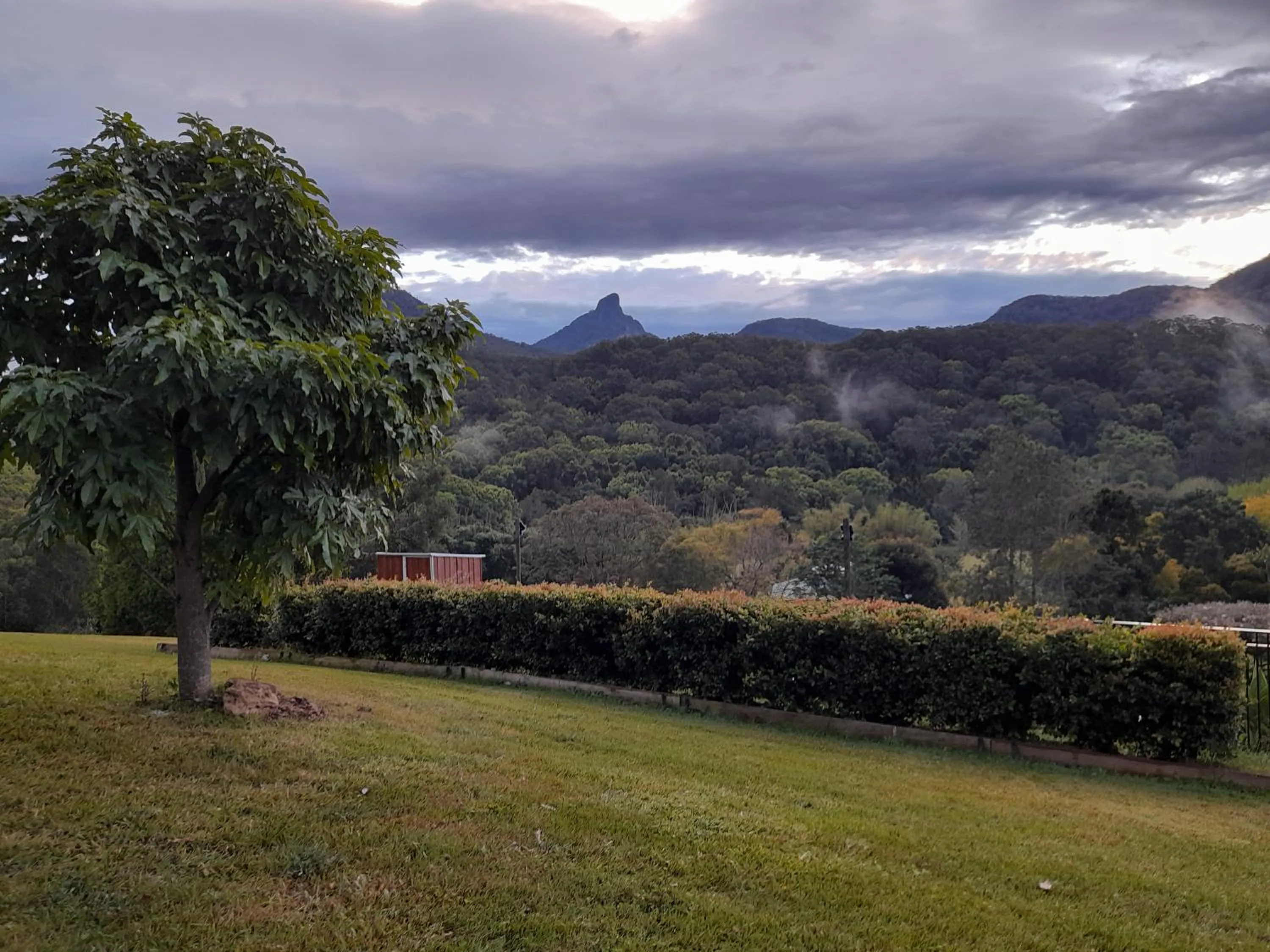 Natural landscape in A view of Mount Warning