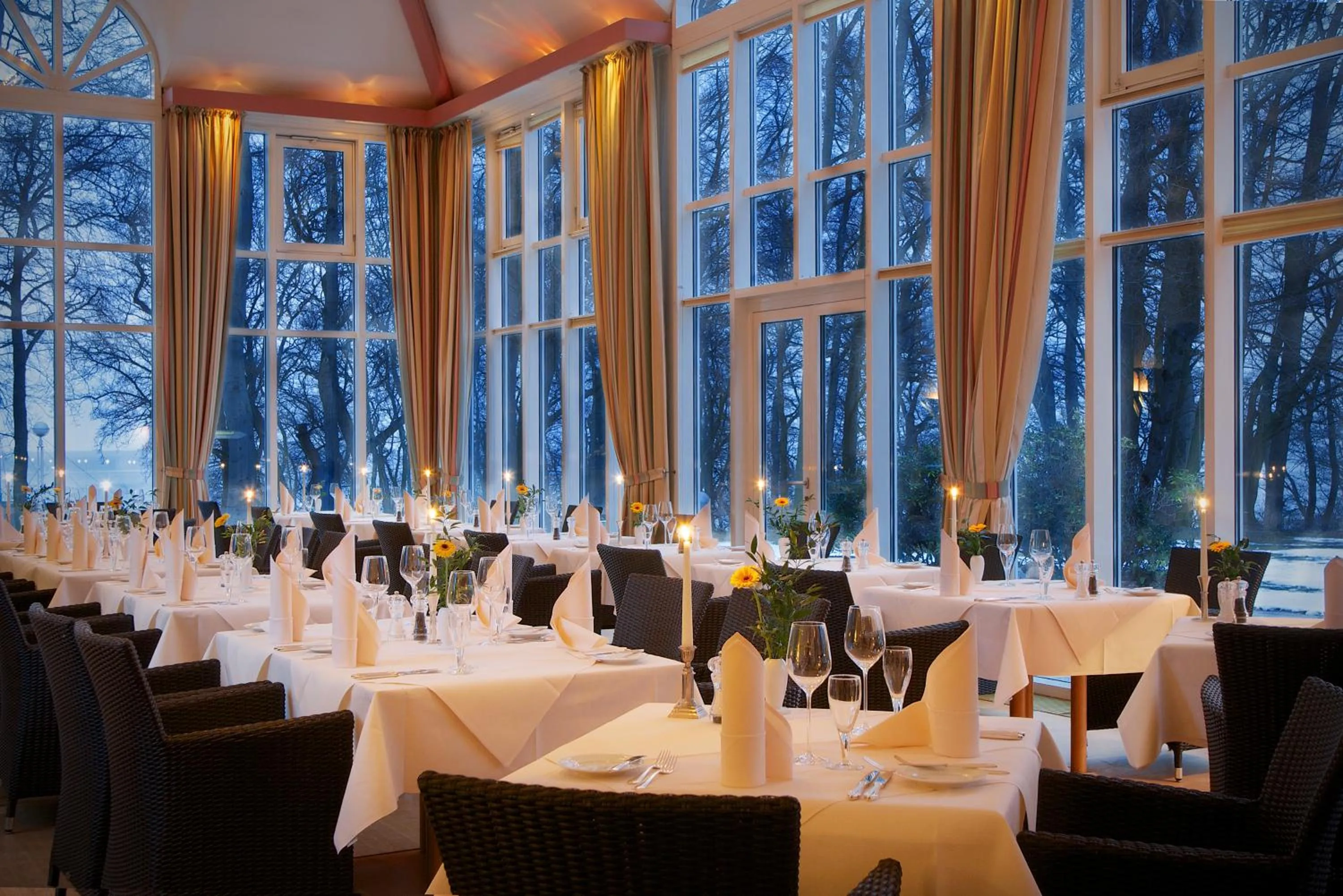 Restaurant/places to eat in Ringhotel Hohe Wacht